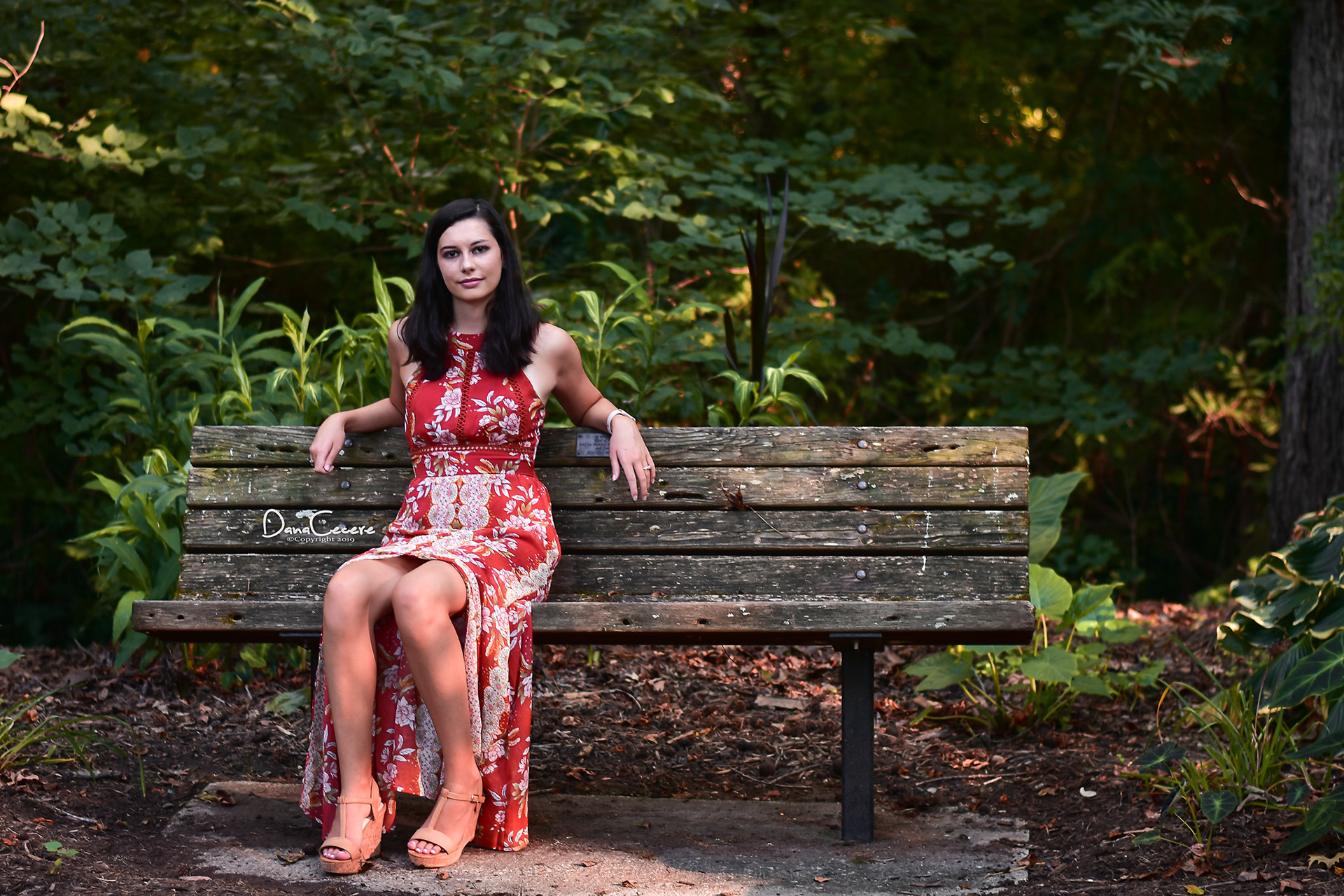 Elizabeth Senior 2019