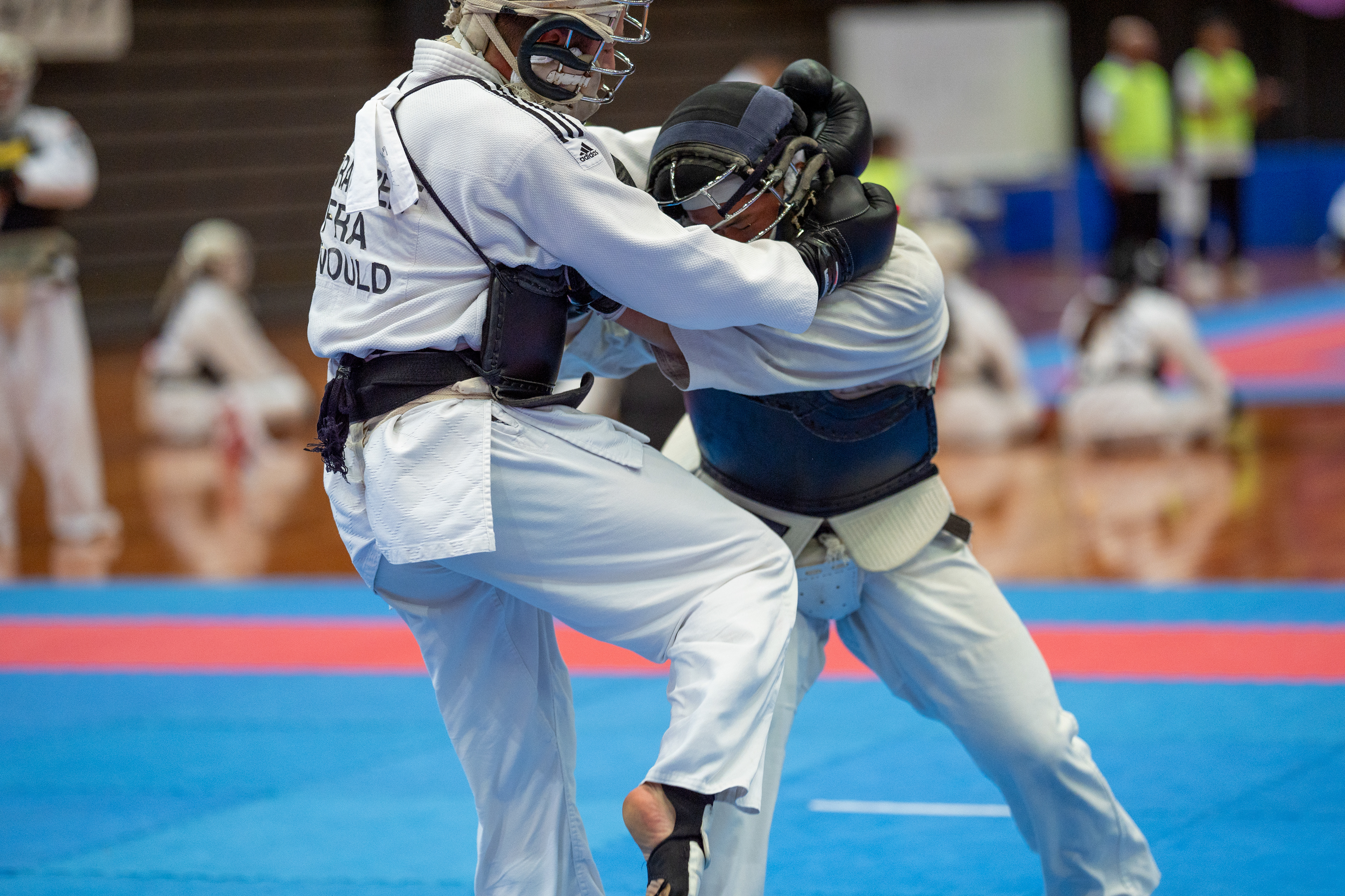 Tournoi de Nippon Kempo - Japon 2024