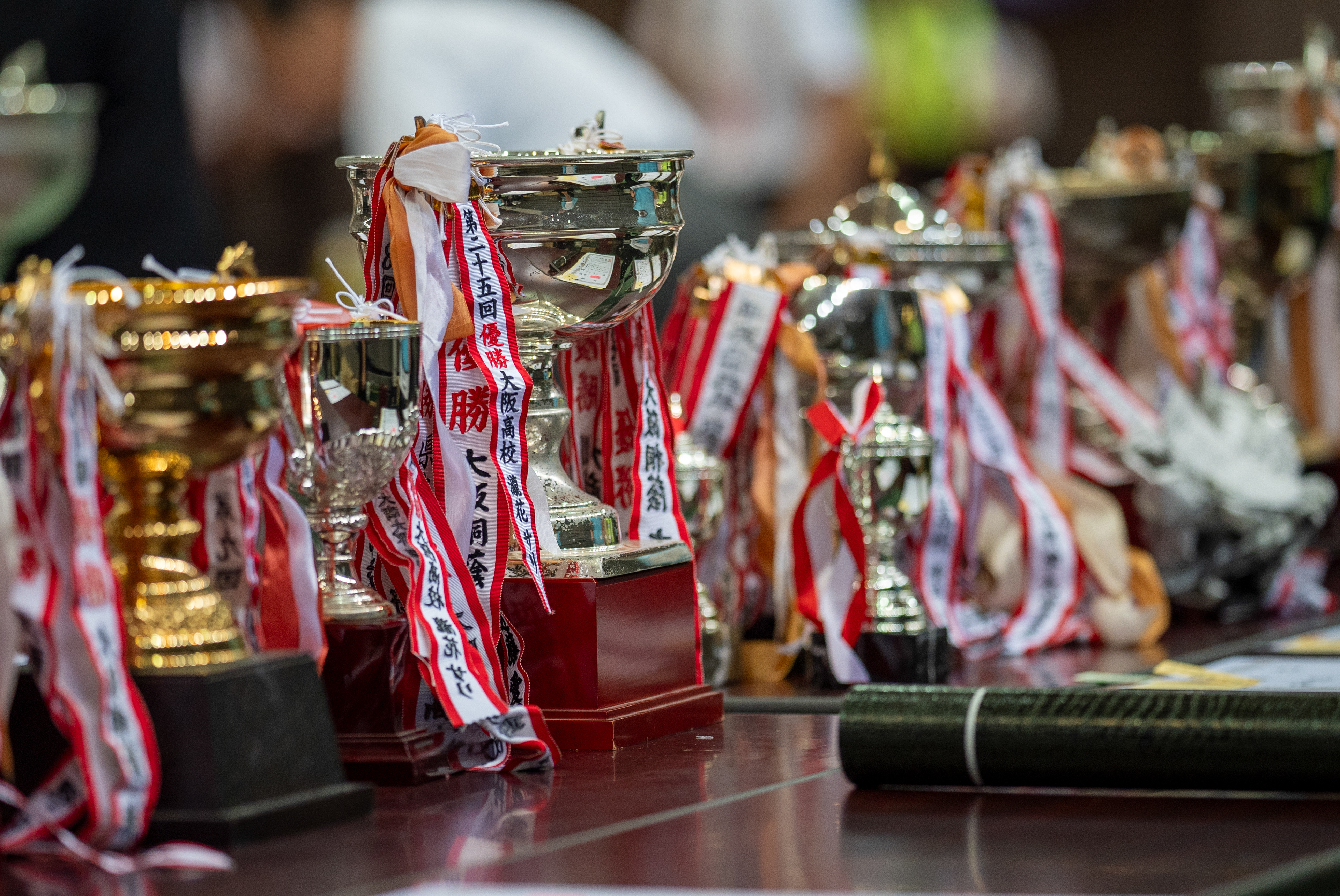 Tournoi de Nippon Kempo - Japon 2024