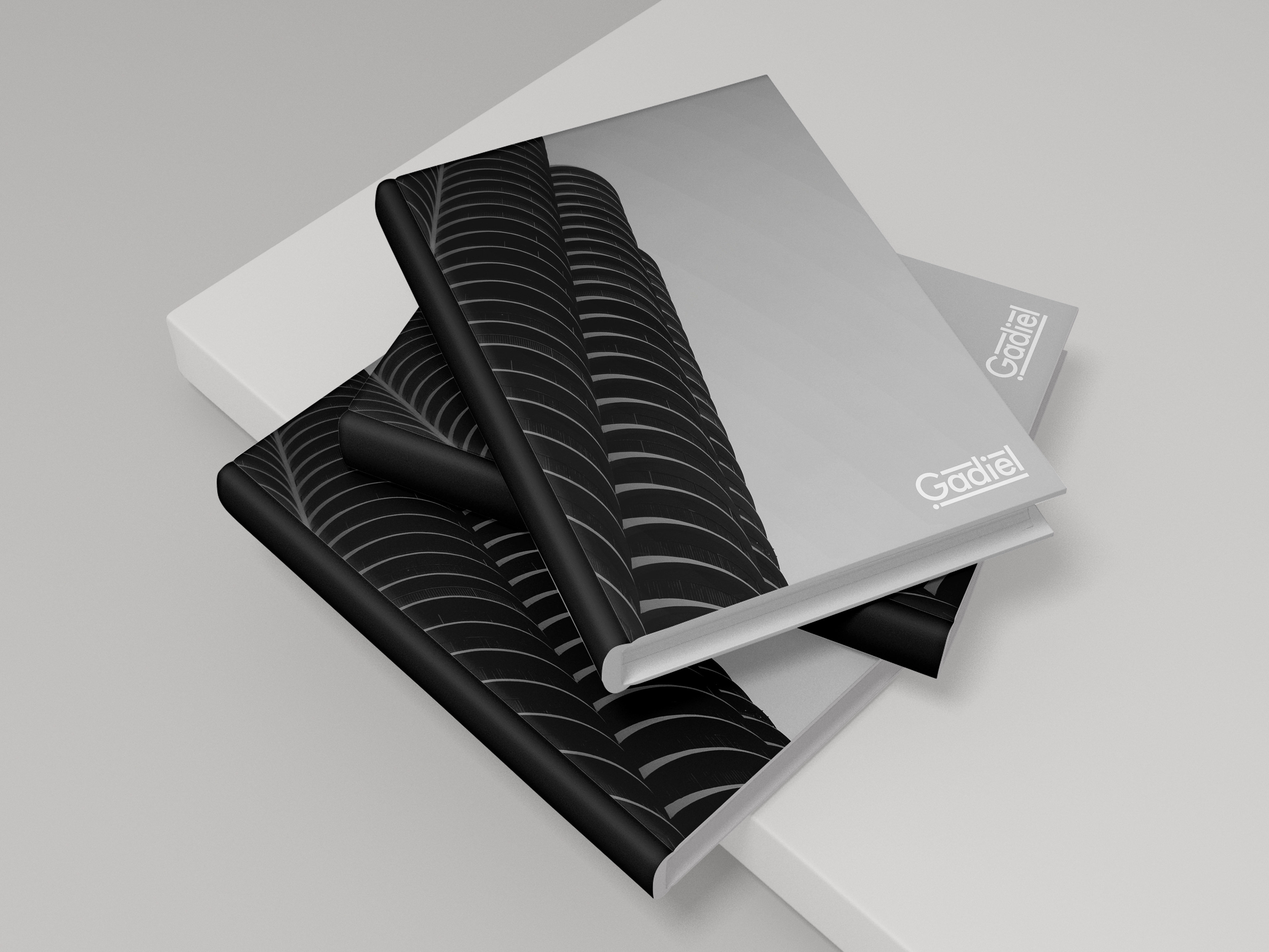 Self Promotion Photo and Design Book Cover