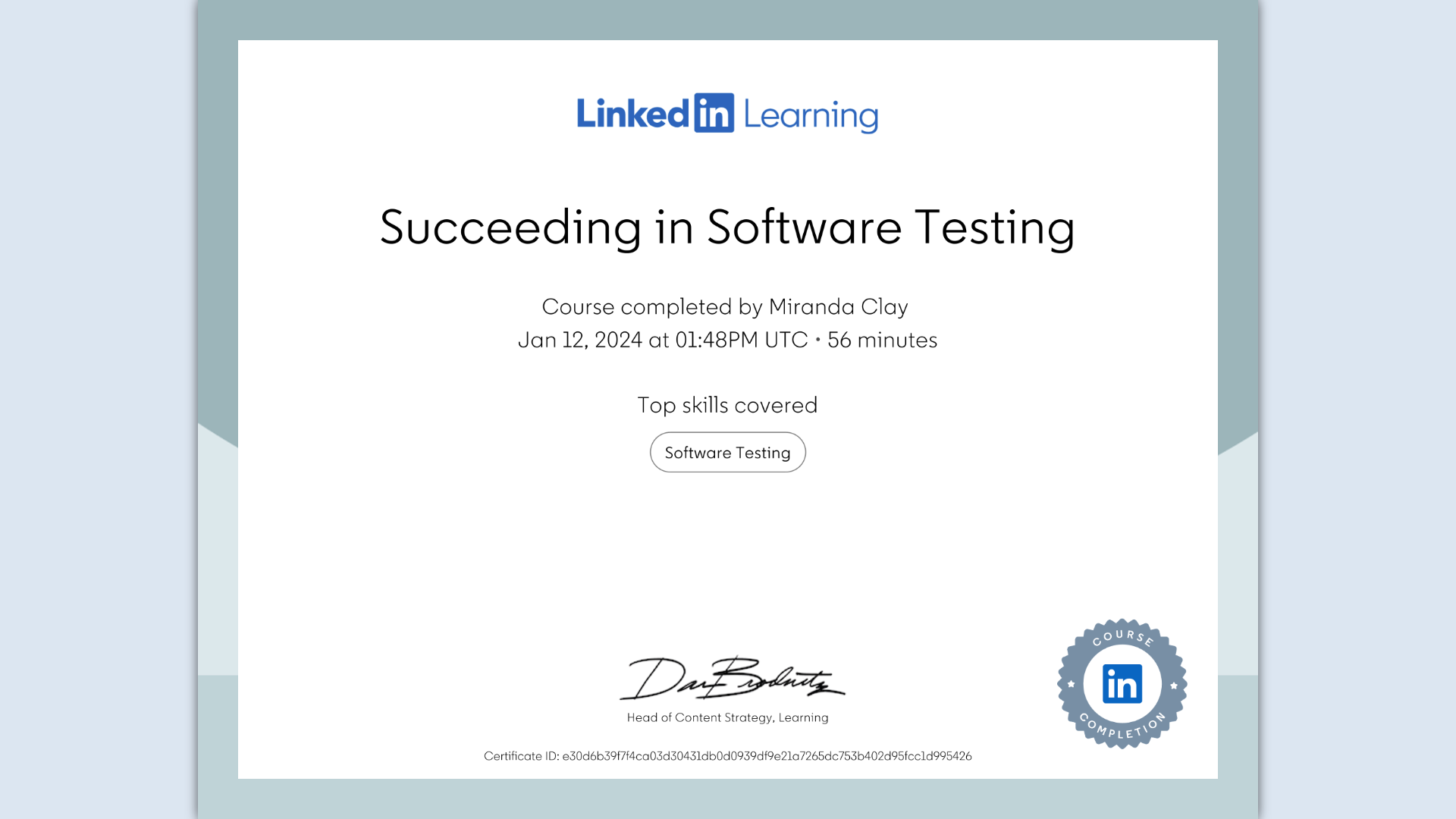 Succeeding in Software Testing