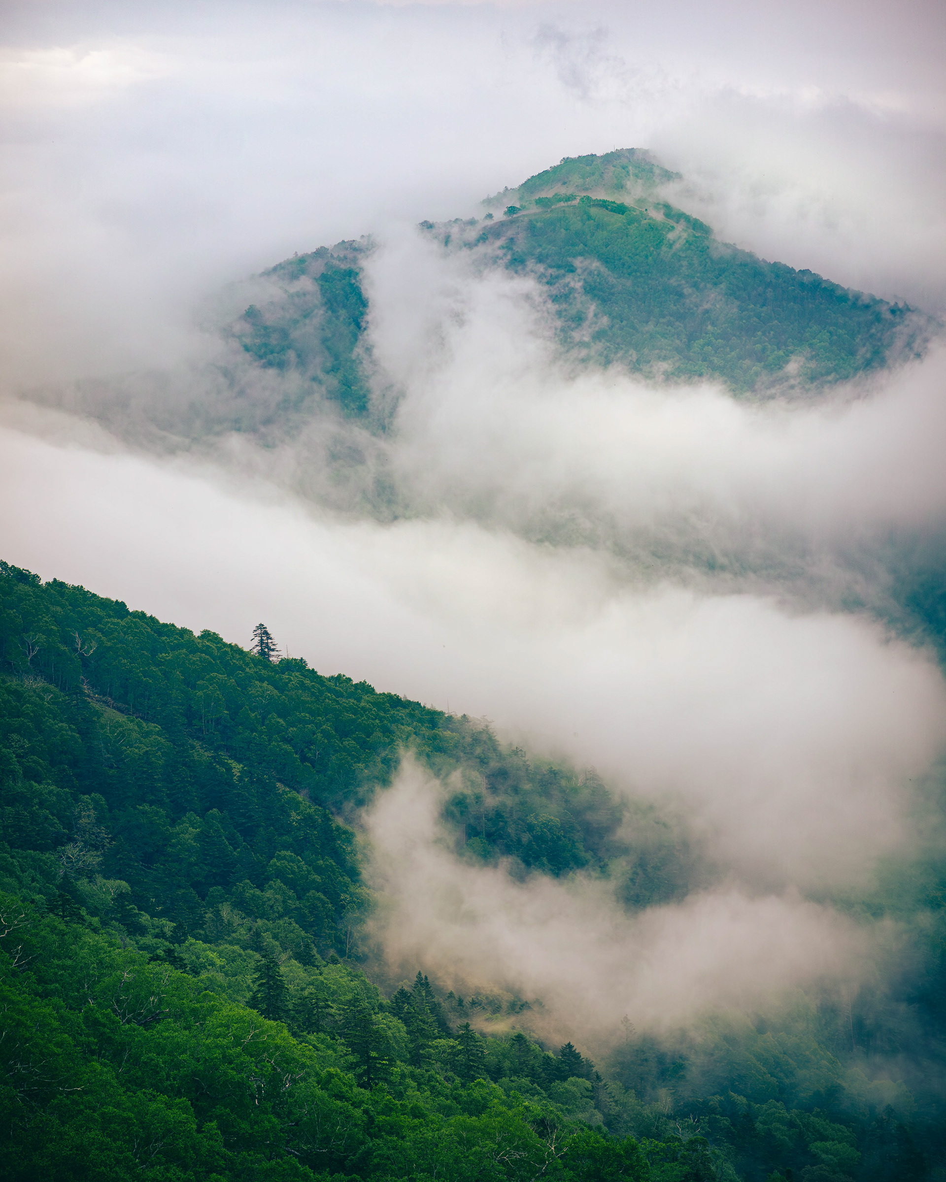 The mountains and clouds of Tomamu, Japan. It's where we got married!