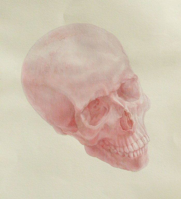 From anatomical drawing series 2008, Tempera on paper
