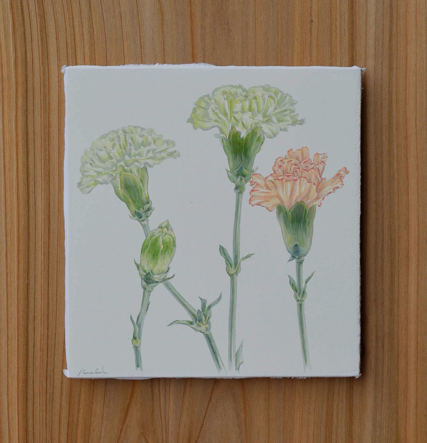 #dianthuscaryophyllus 2020, Tempera on panel (gesso)