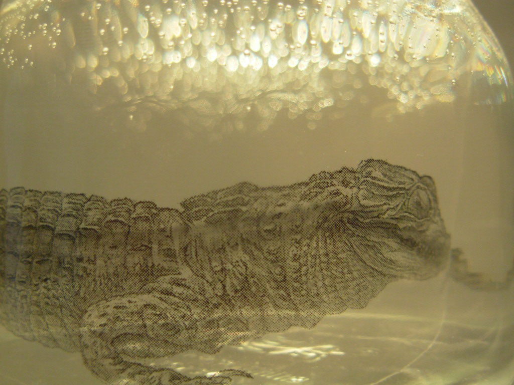 Installation for "Animal Point" 2009, Drawing printed on acetate paper, Jars