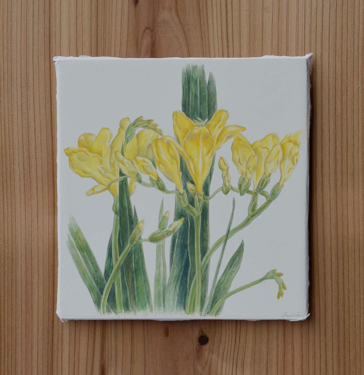 #freesiarefracta 2020, Tempera on panel (gesso)