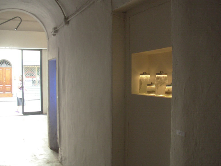 2010 Animal Point in occasion of Start Point, Settanta Rosso, Florence