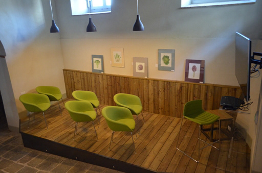 2015 Festa Tanabata, Palazzo Boccella in collaboration with Fondazione Campus, Lucca