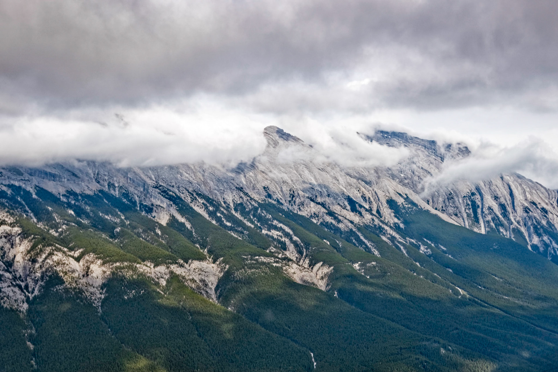 View from Banff Gondola 2