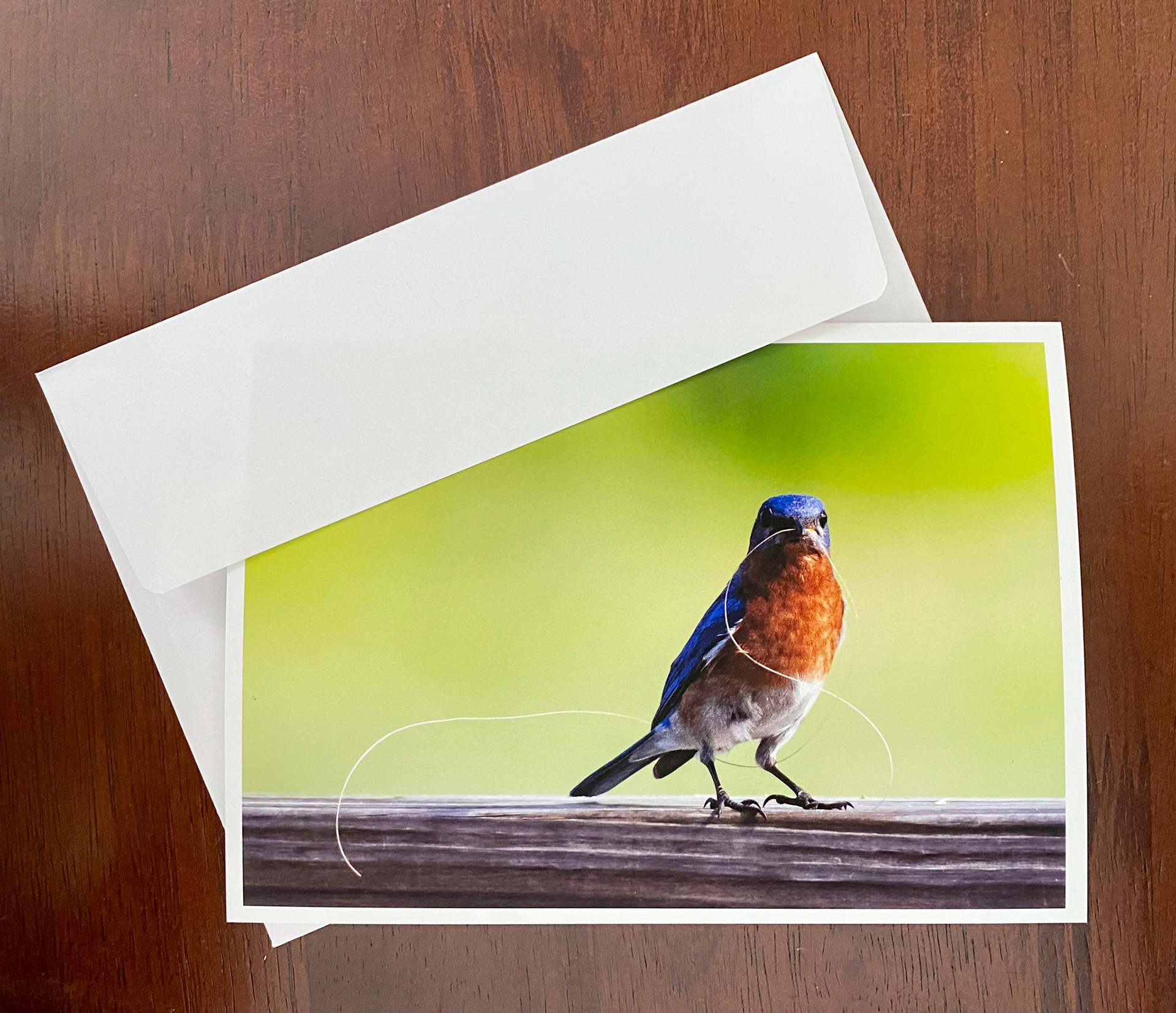 5x7" printed card