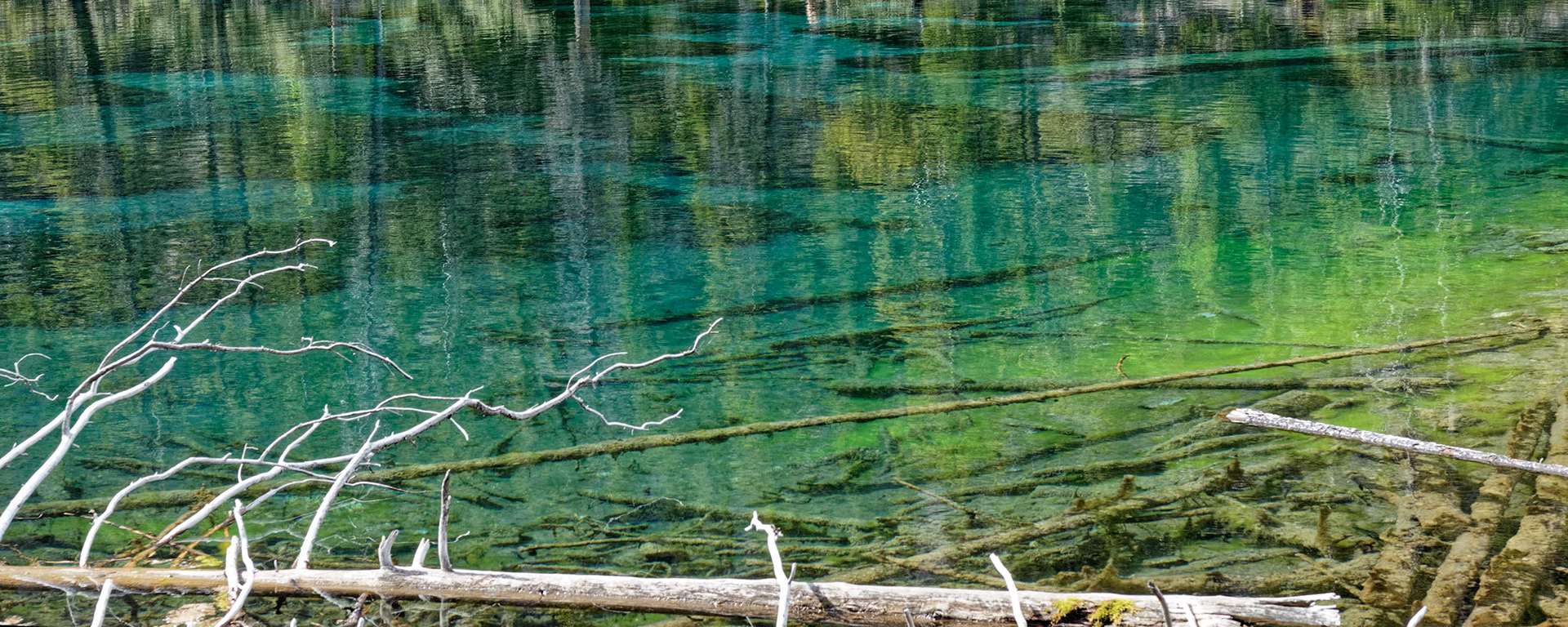 Surprise Lake