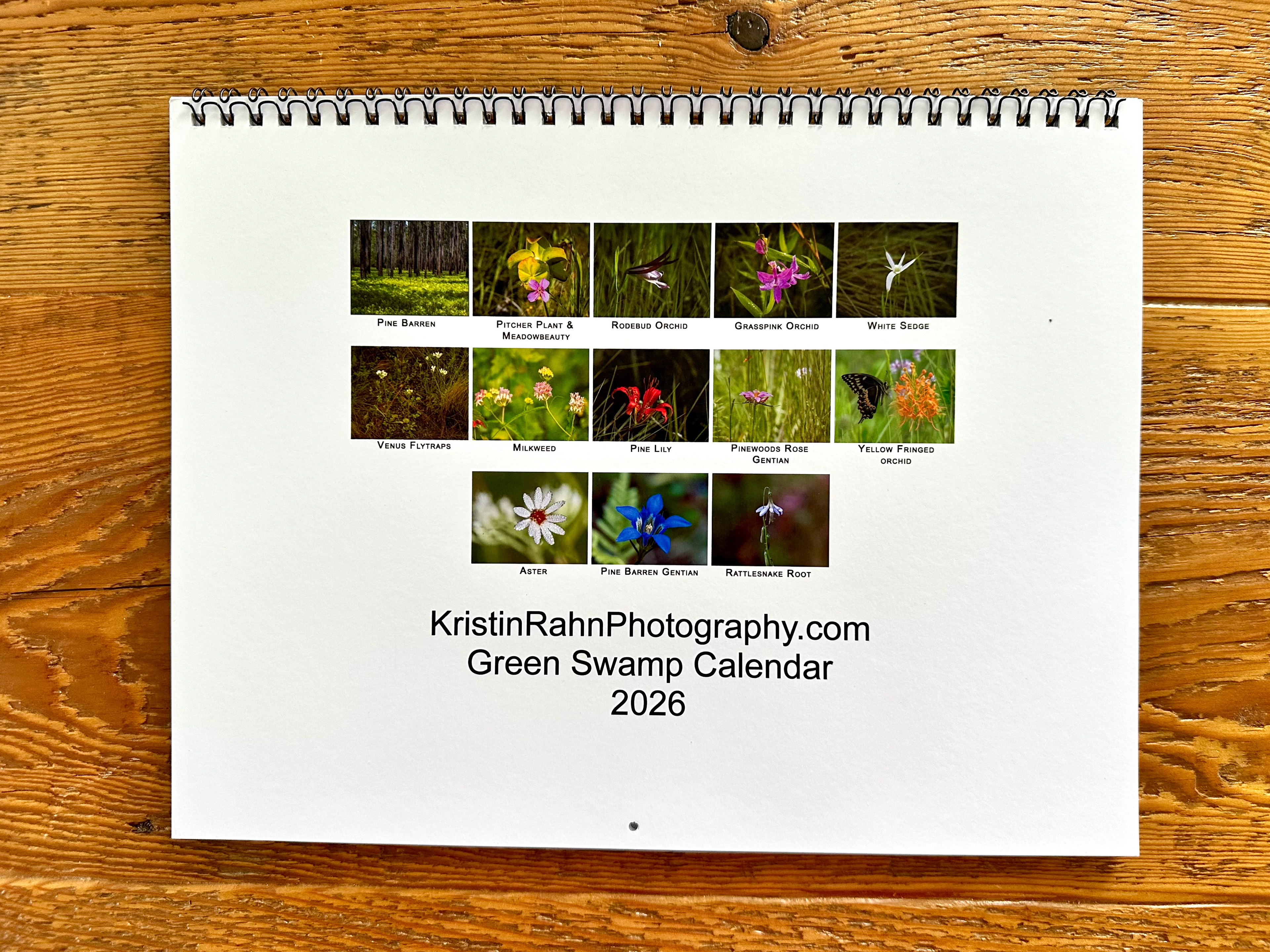 Back cover sample with identifications