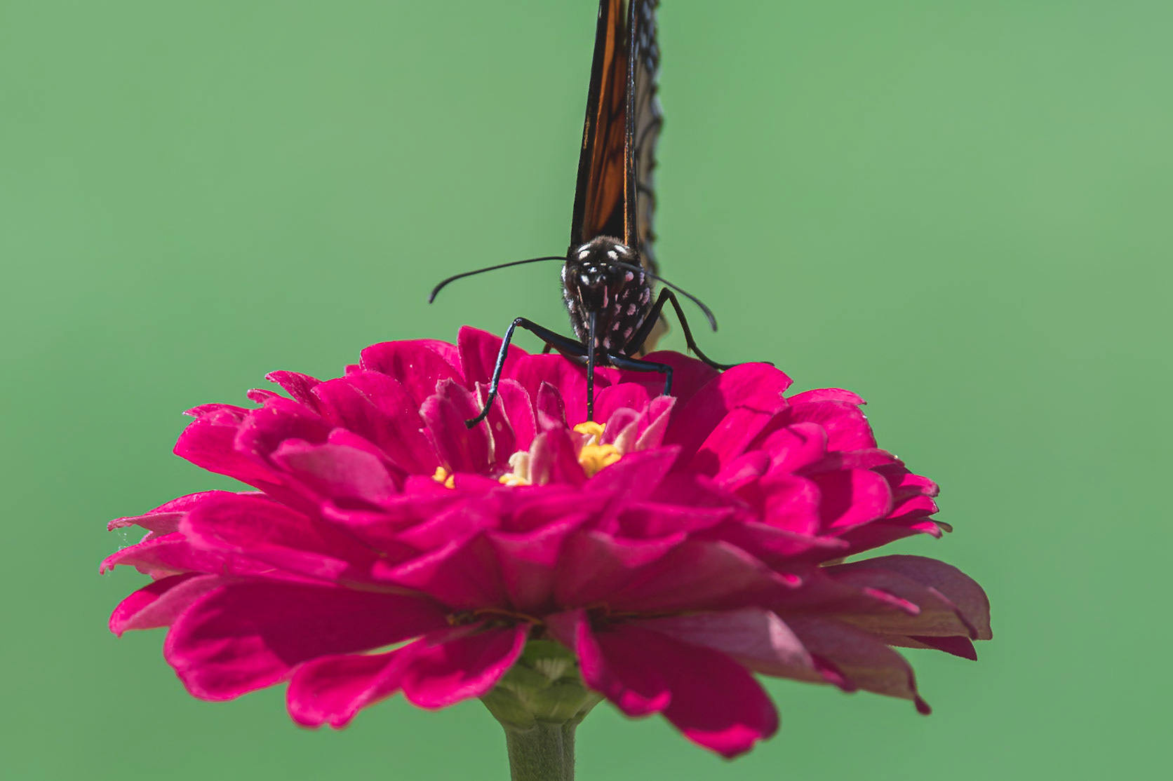 Monarch 14, Private home in Calabash, NC