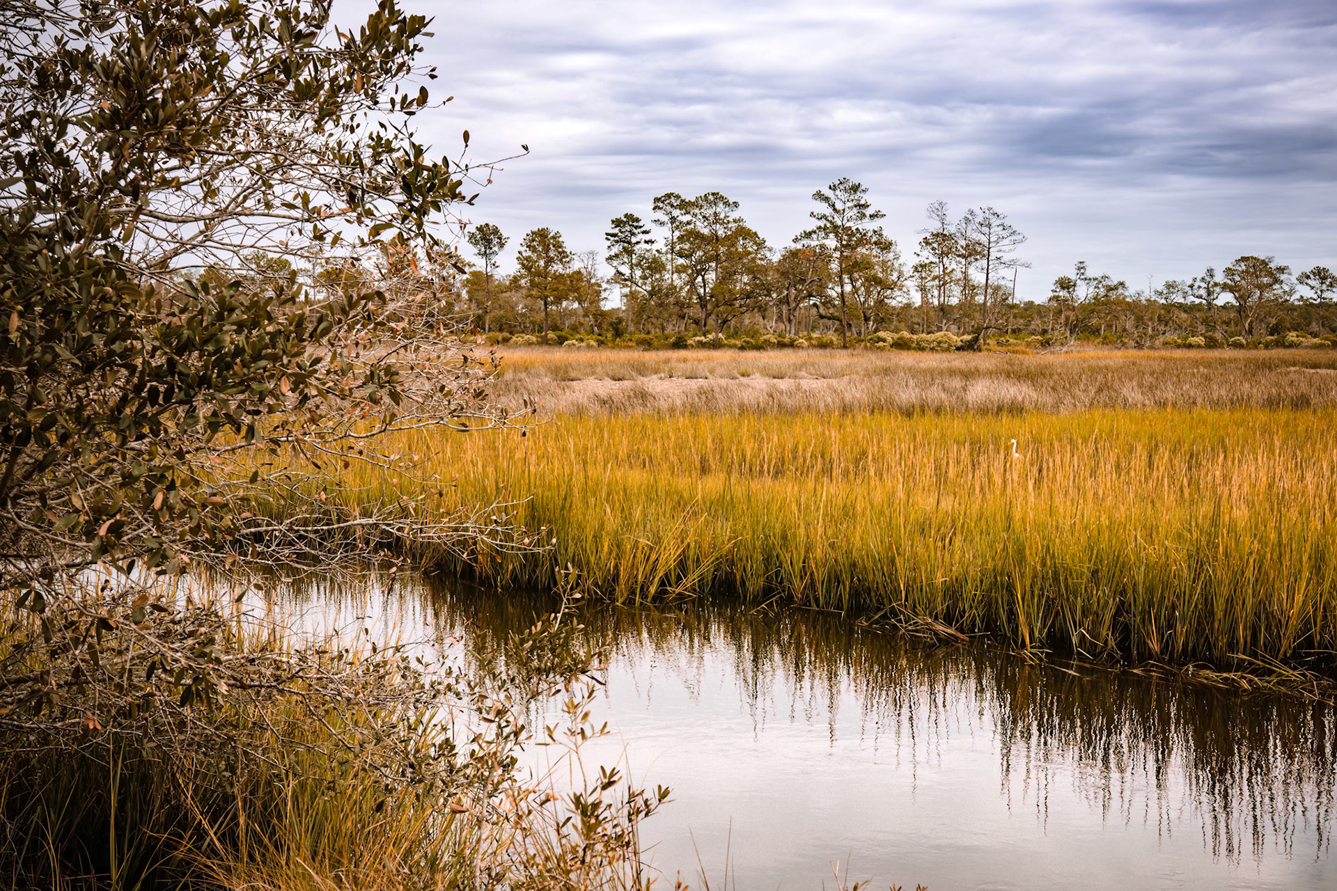 Shallotte Riverwalk 2