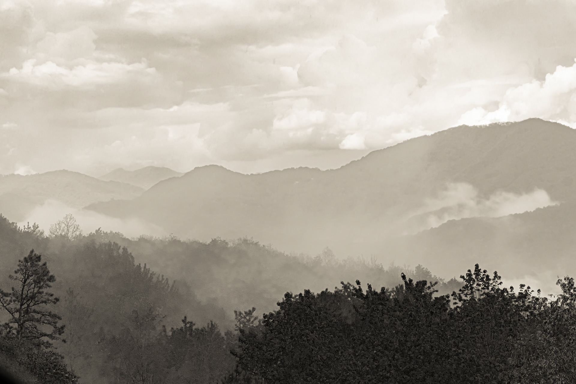 Steestachie Bald Overlook 1, Blue Ridge Parkway, NC