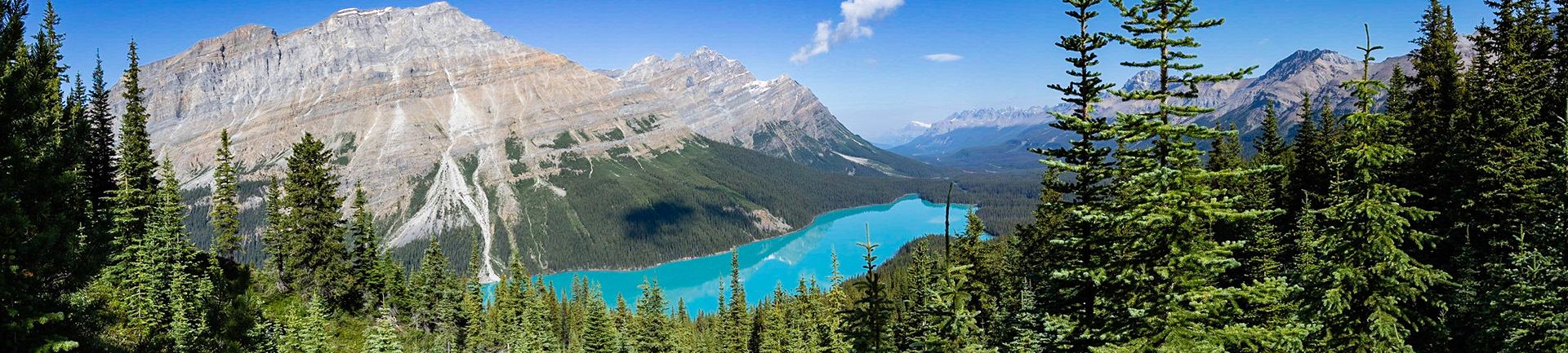 Lake Peyto 2, Panoramic