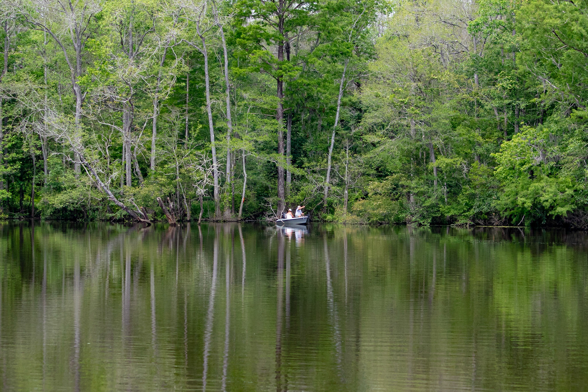 Waccamaw River 14, Plantation River Cruise
