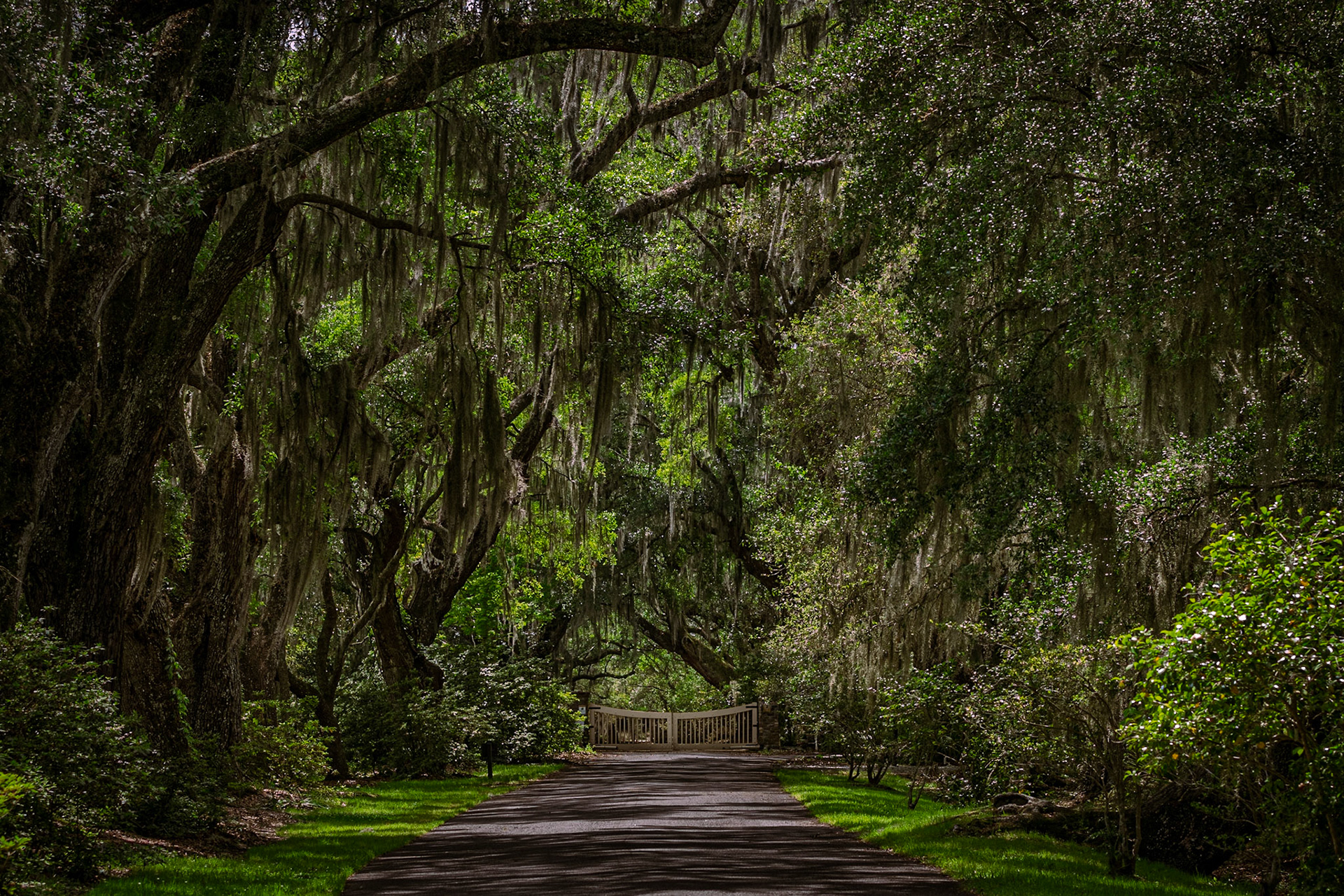 Magnolia Plantation and Gardens, SCAIR 2