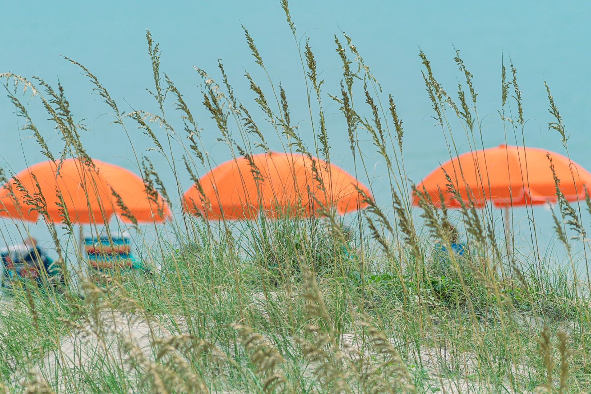Oats and umbrellas 3, OIB East End