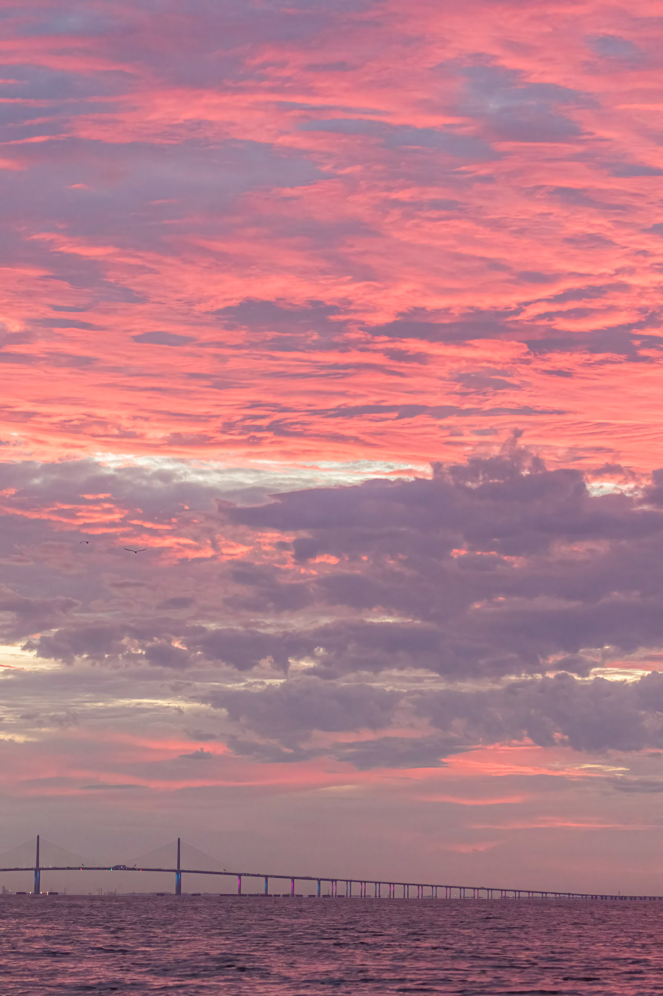 Sunshine Skyway Bridge at sunrise 2, Tampa Bay Area