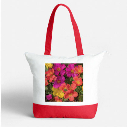 Portulaca on Red