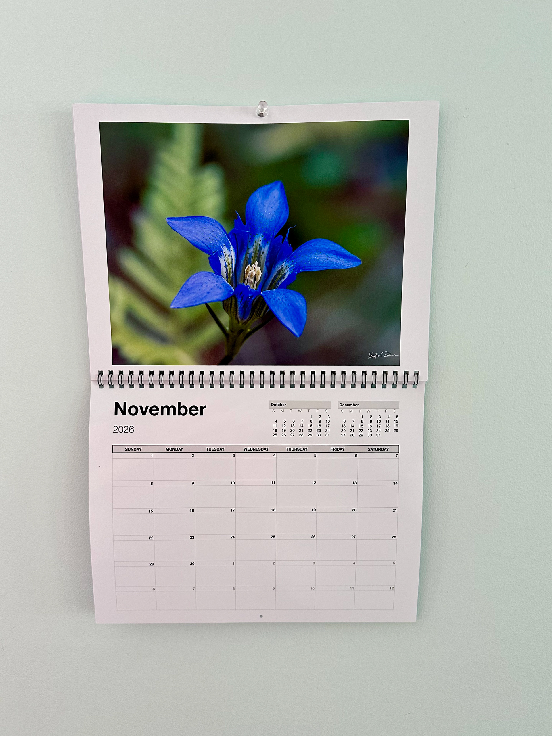 Month sample with gentian