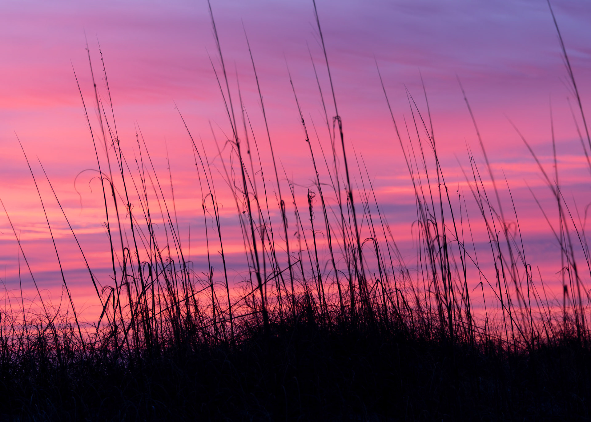 Sunrise 29, OIB east end