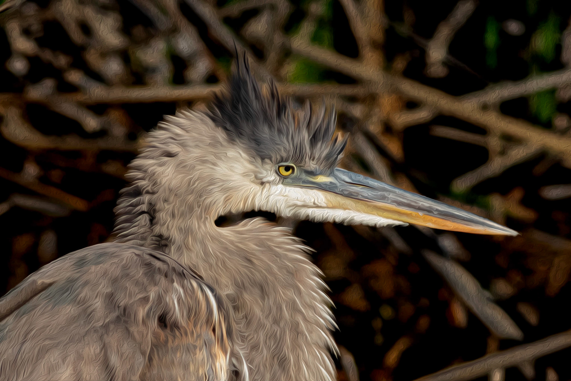 Oil painting 12, great blue heron, Sunset Beach, NC