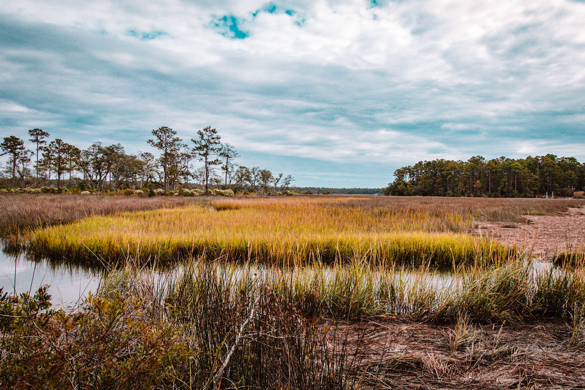 Shallotte Riverwalk 1