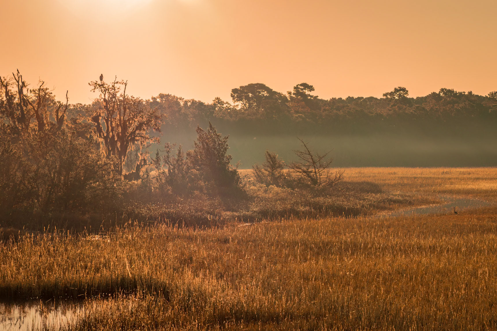 Jamse Island Campground sunrise 2, Charleston, SC