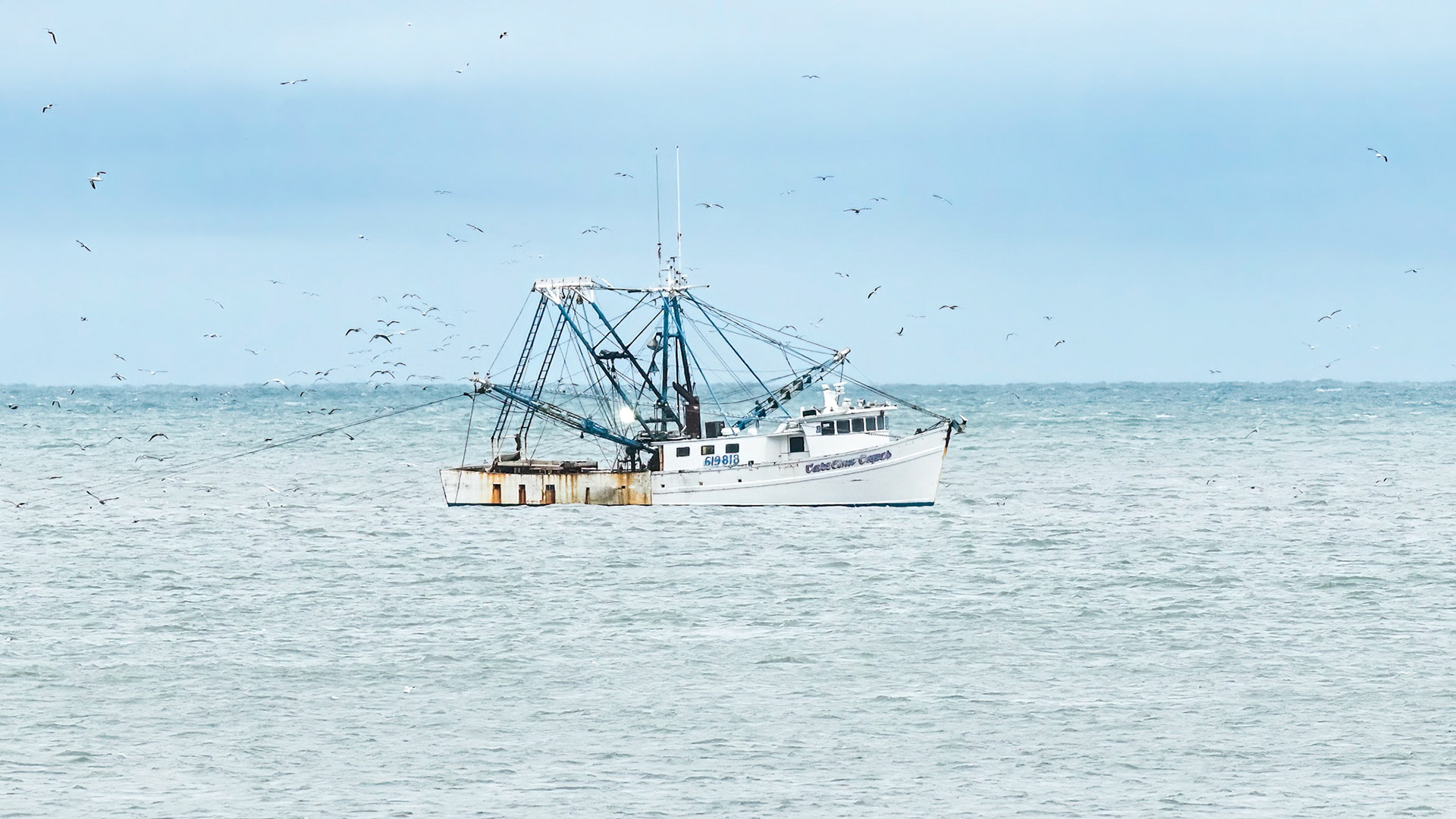 Shrimp boat 15, OIB east end