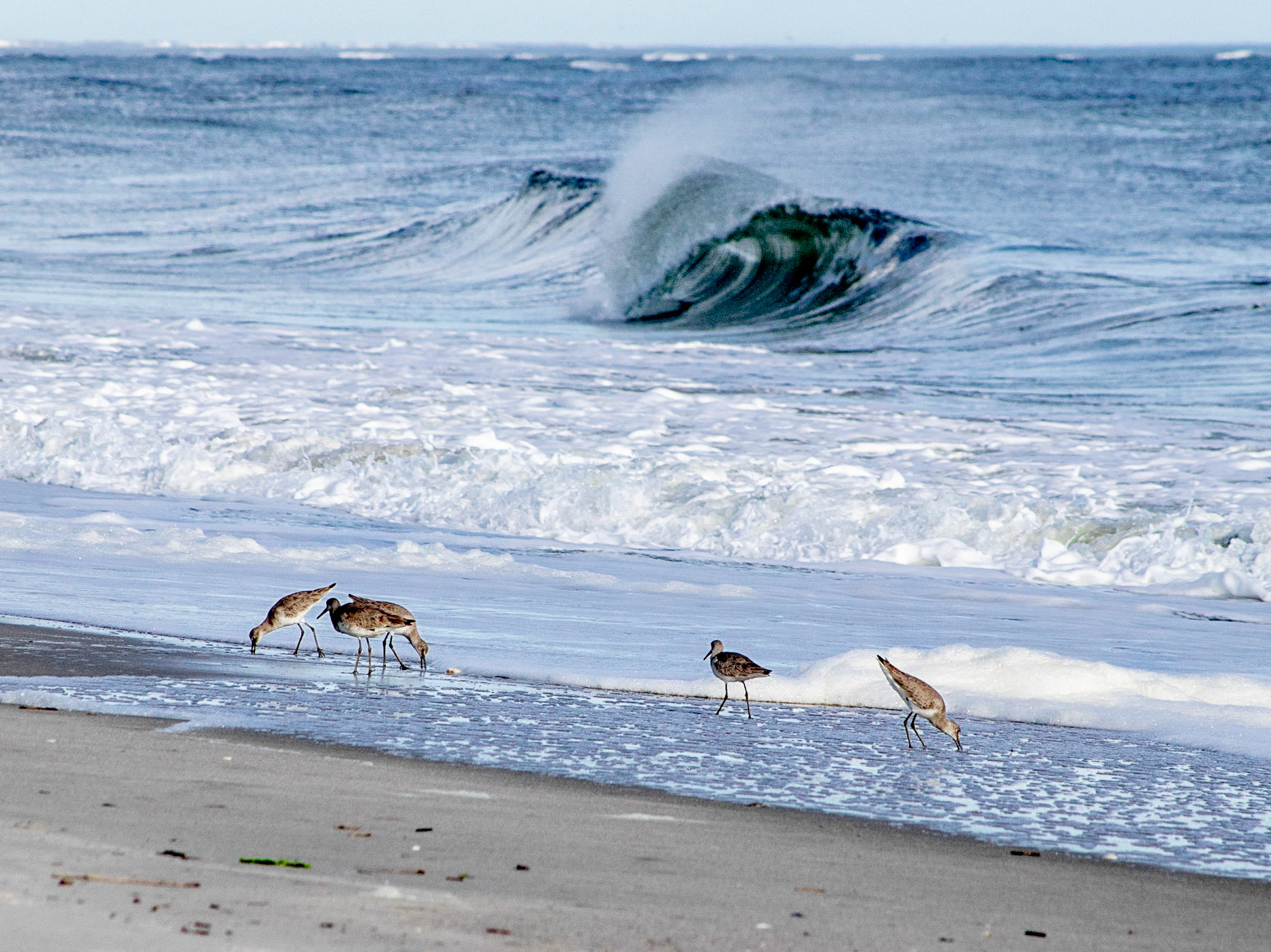 Waves 5, OIB