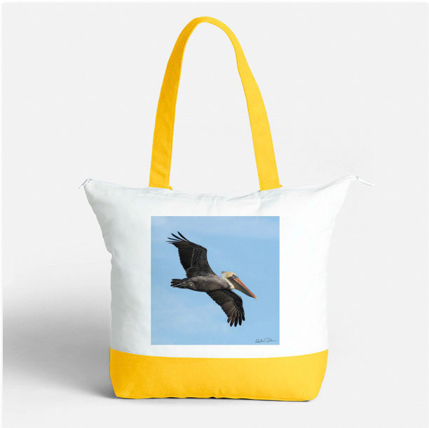 Brown Pelican 52 on Yellow