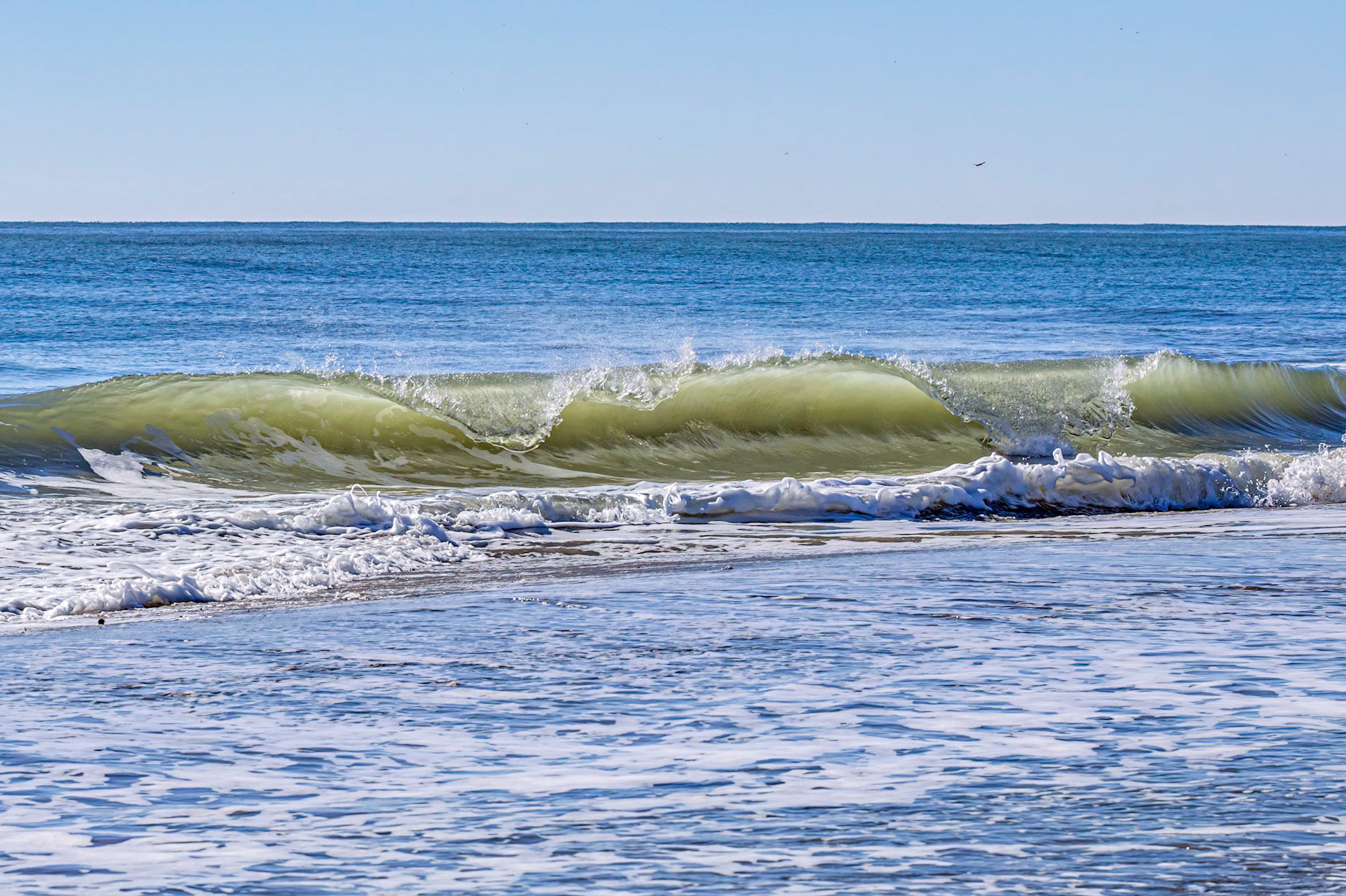 Winter waves 31, OIB east end