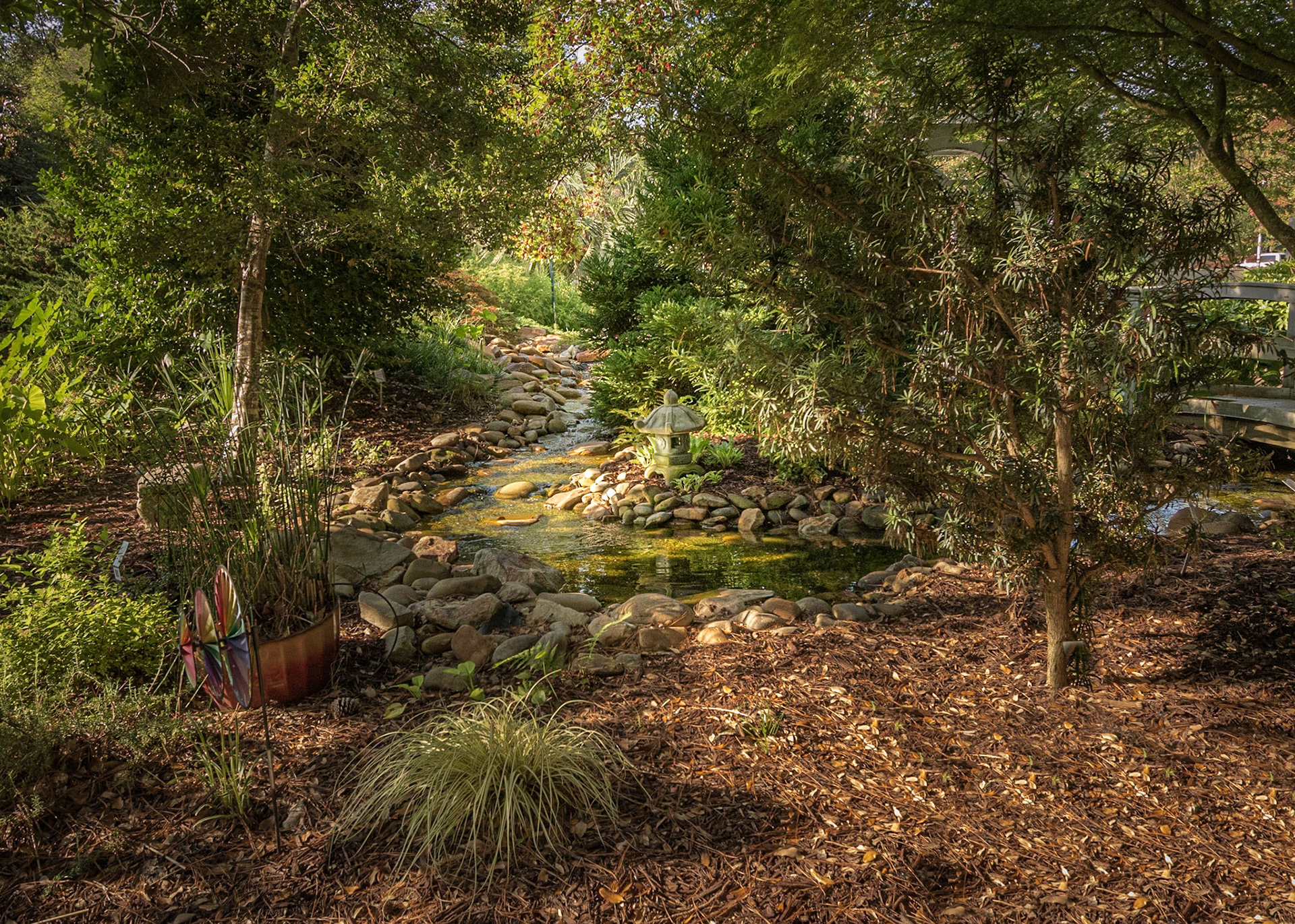 Stream 1, Brunswick County Botanical garden