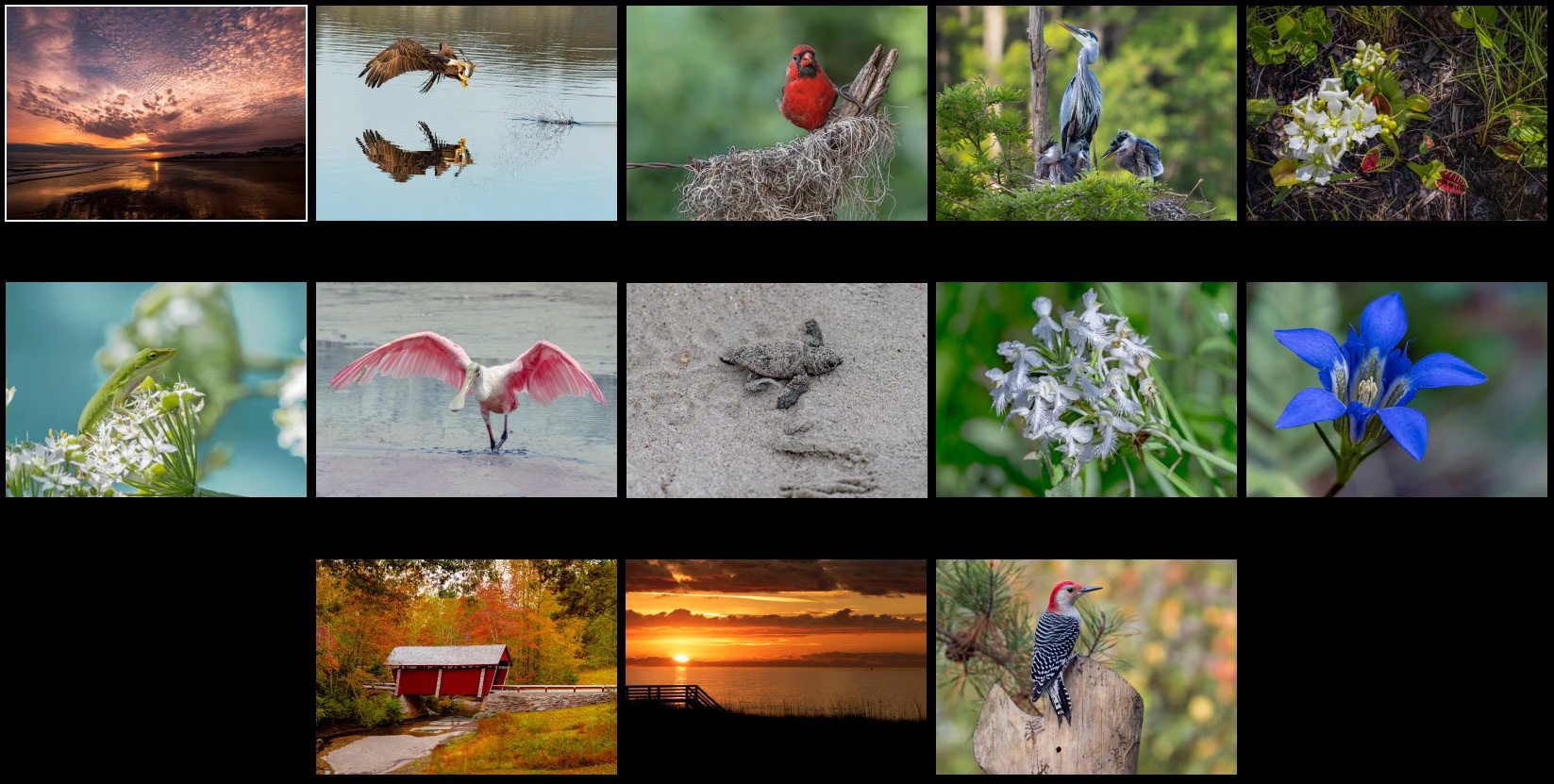 Nature