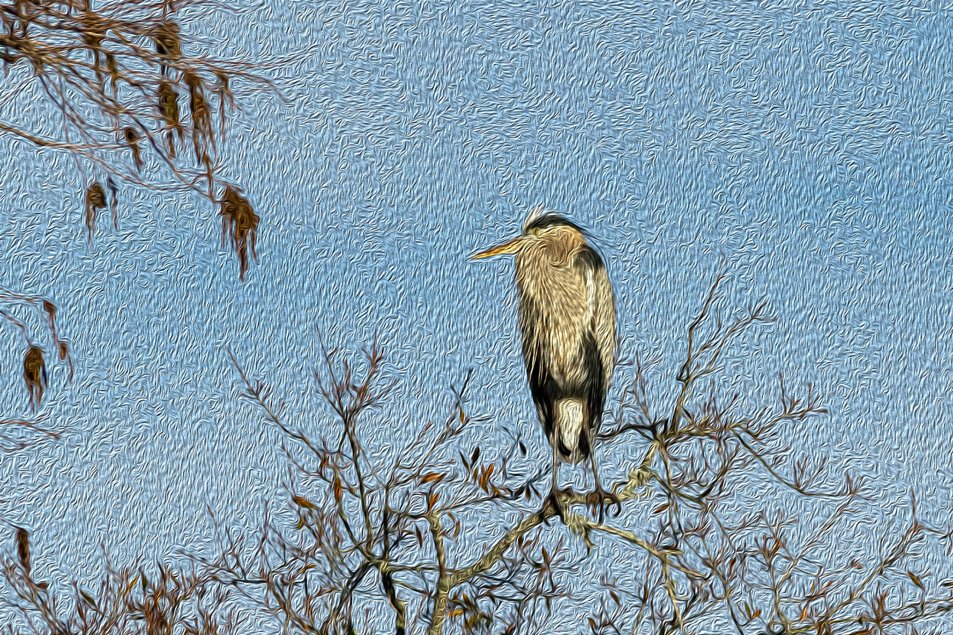 Oil painting 24, great blue heron, Sunset Beach, NC