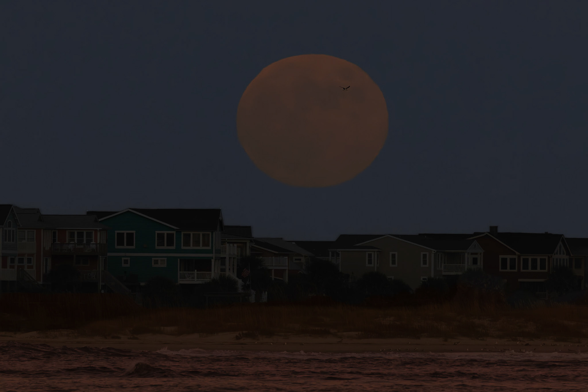 Hunter's moonrise 1, OIB East End