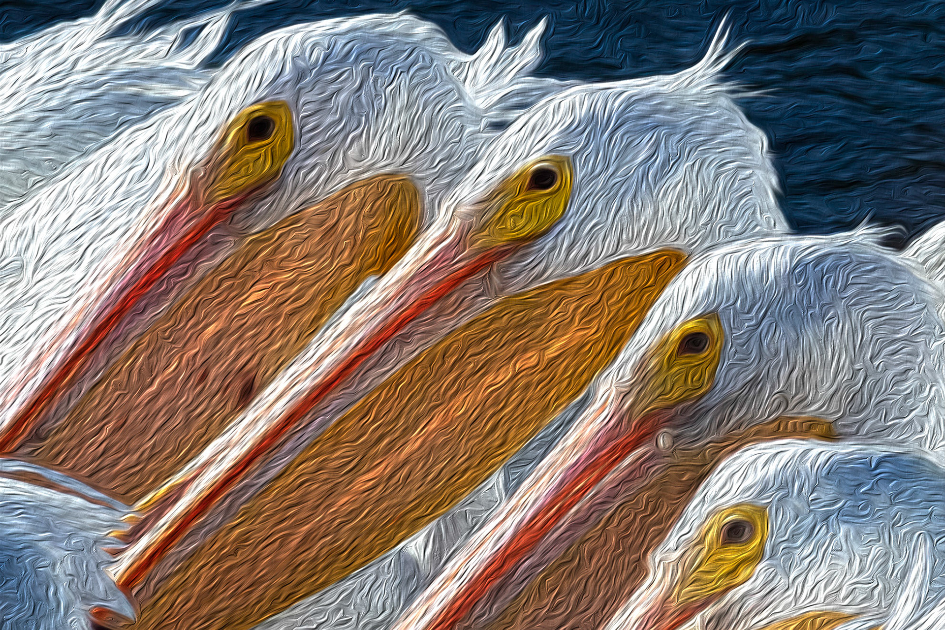 Oil painting 17, white pelicans, Huntington Beach State Park, SC