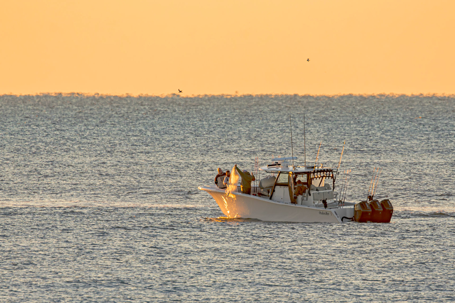Bait fishing 1, OIB East End