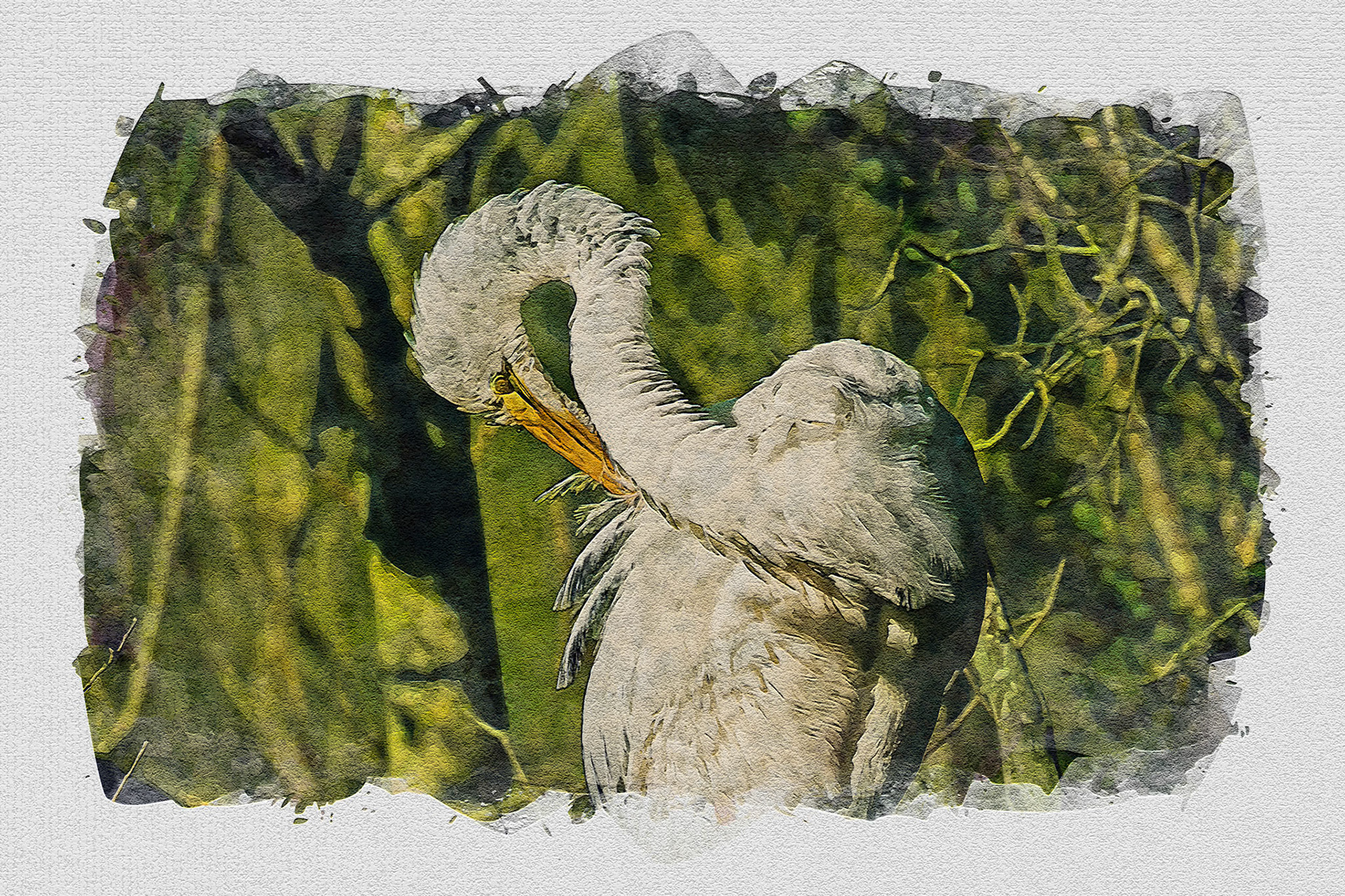 textured - do not print