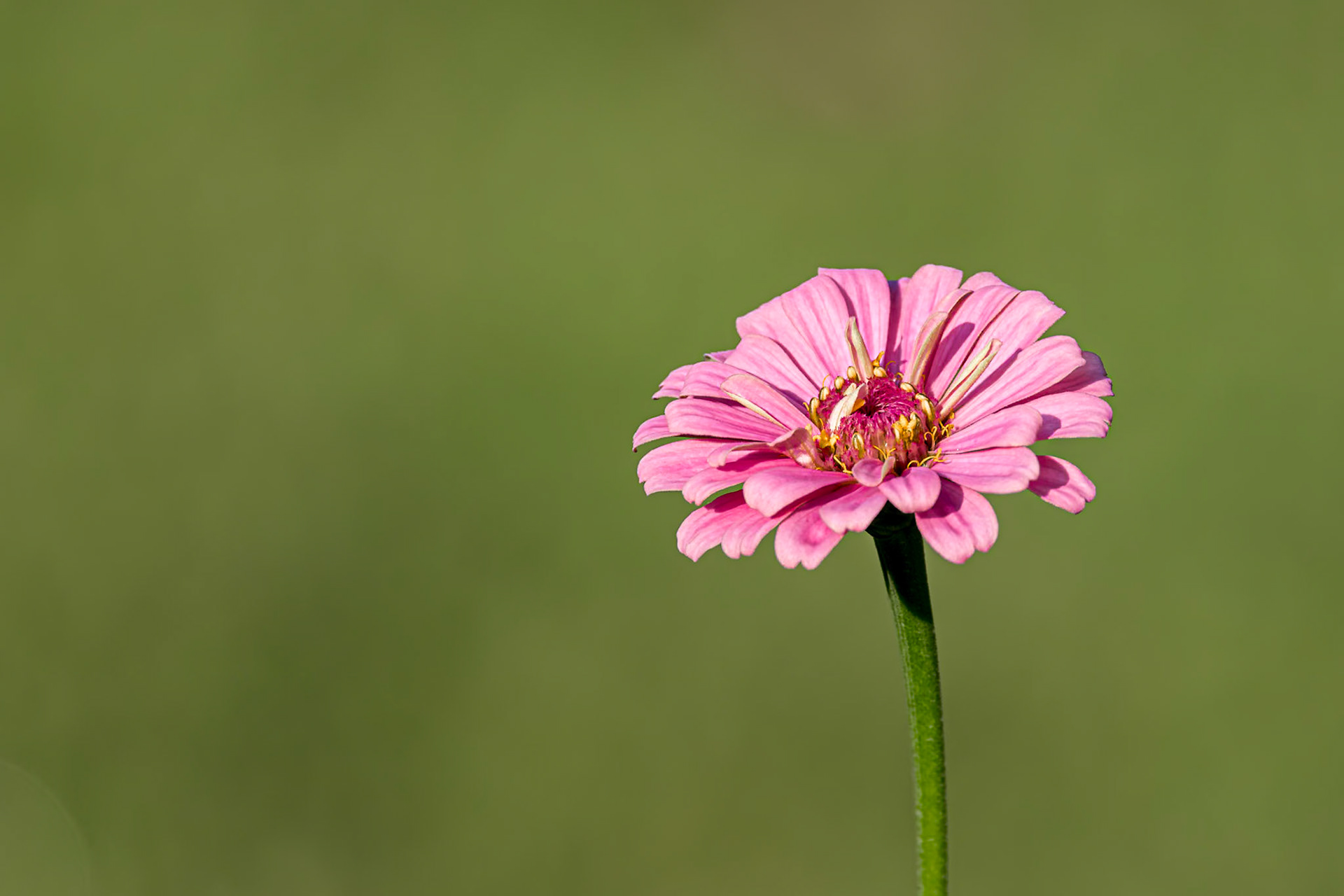 Zinnia 10, Private home in Calabash, NC