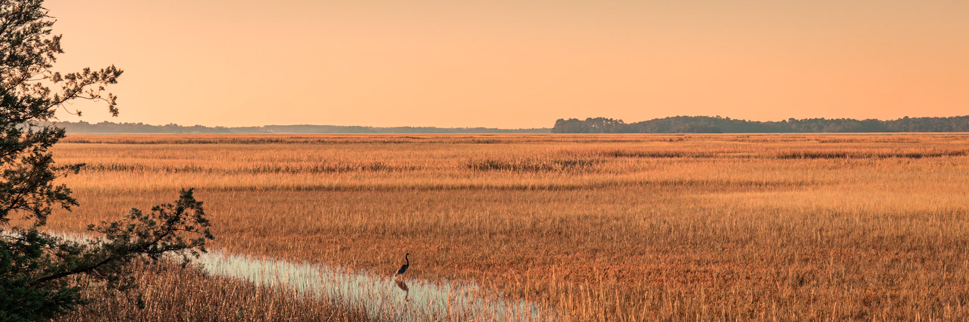 Jamse Island Campground sunrise 1, Charleston, SC