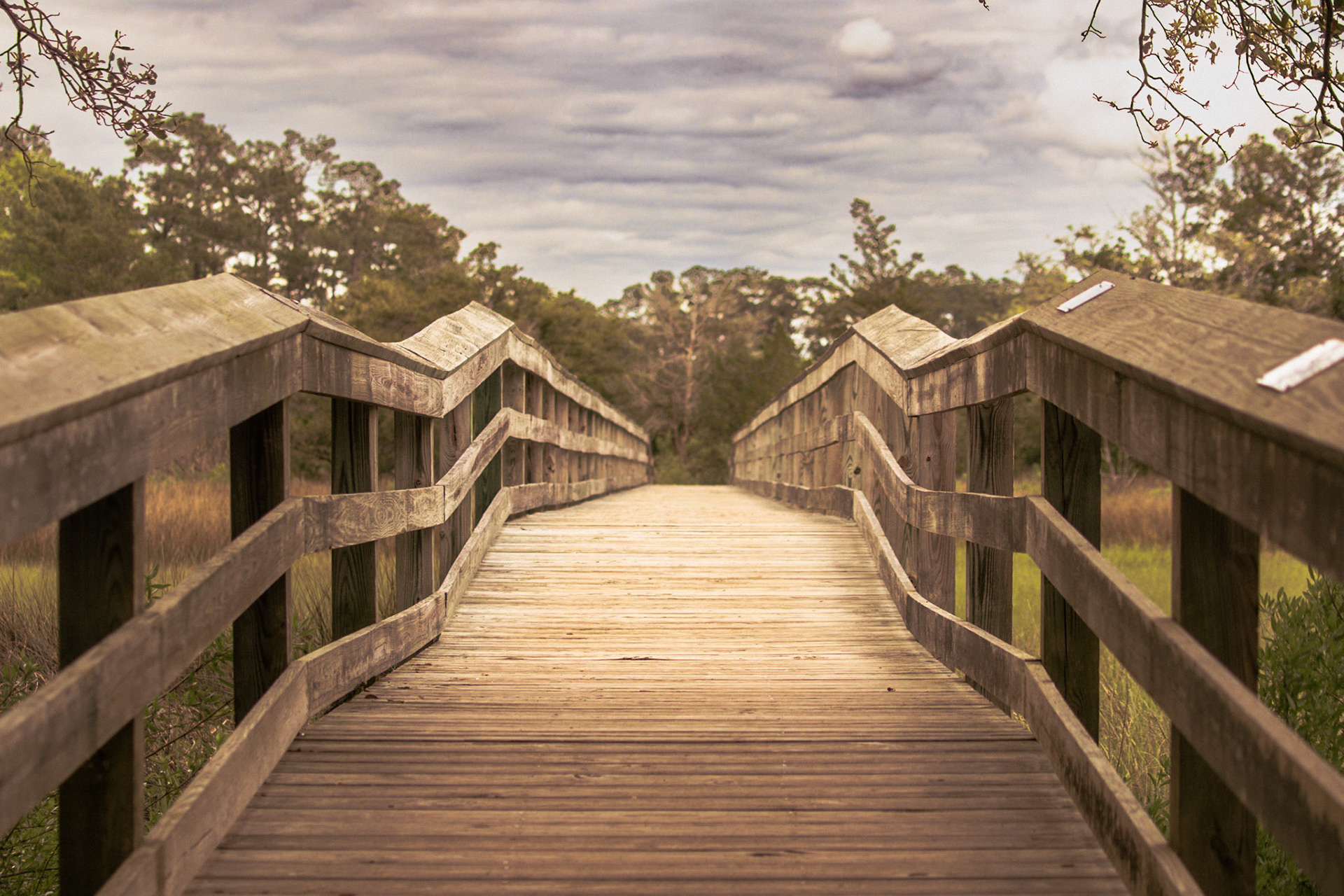 Vereen Gardens 1, Calabash