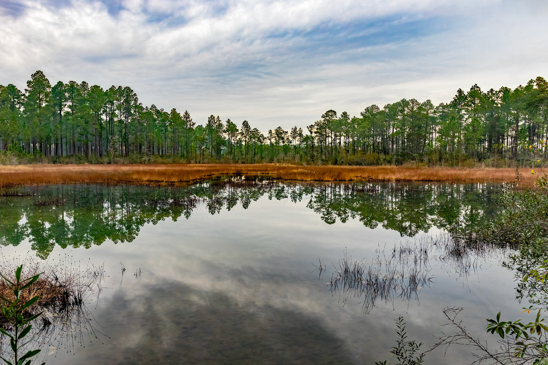 Borrow Pit 1, Green Swamp