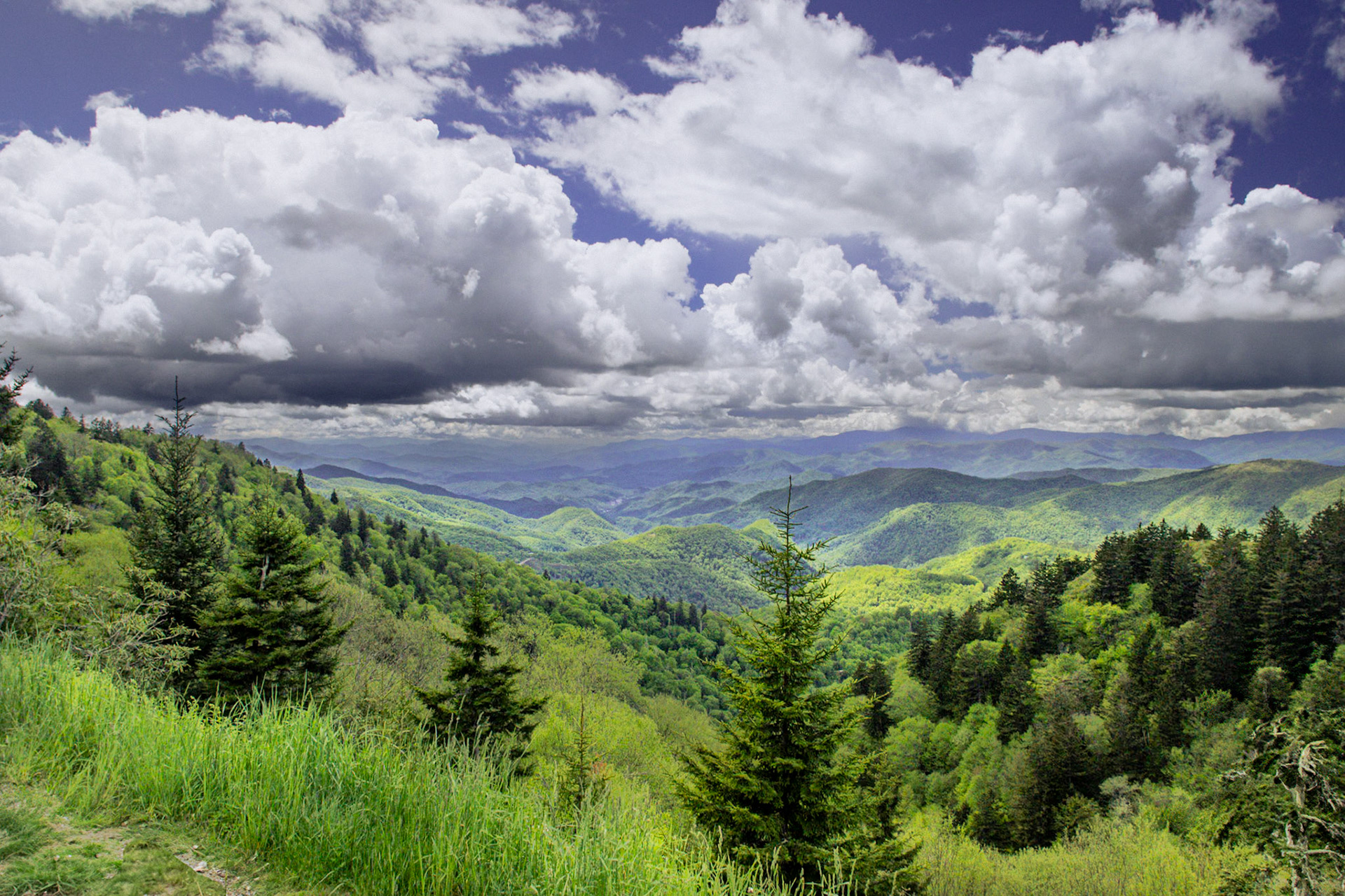 Cranberry Ridge Overlook, Blue Ridge Parkway, NC