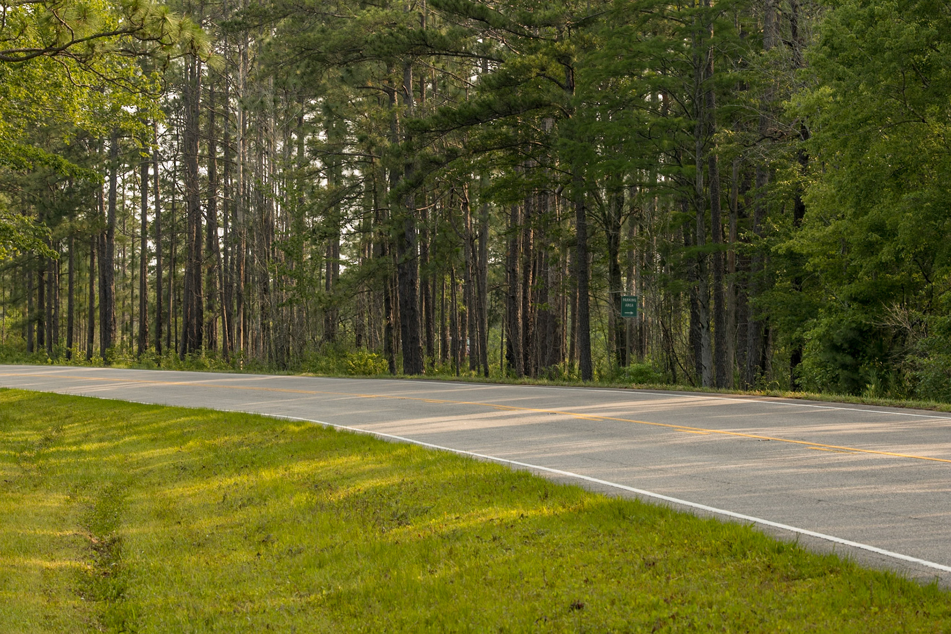 Sign for parking area, Green Swamp Preserve