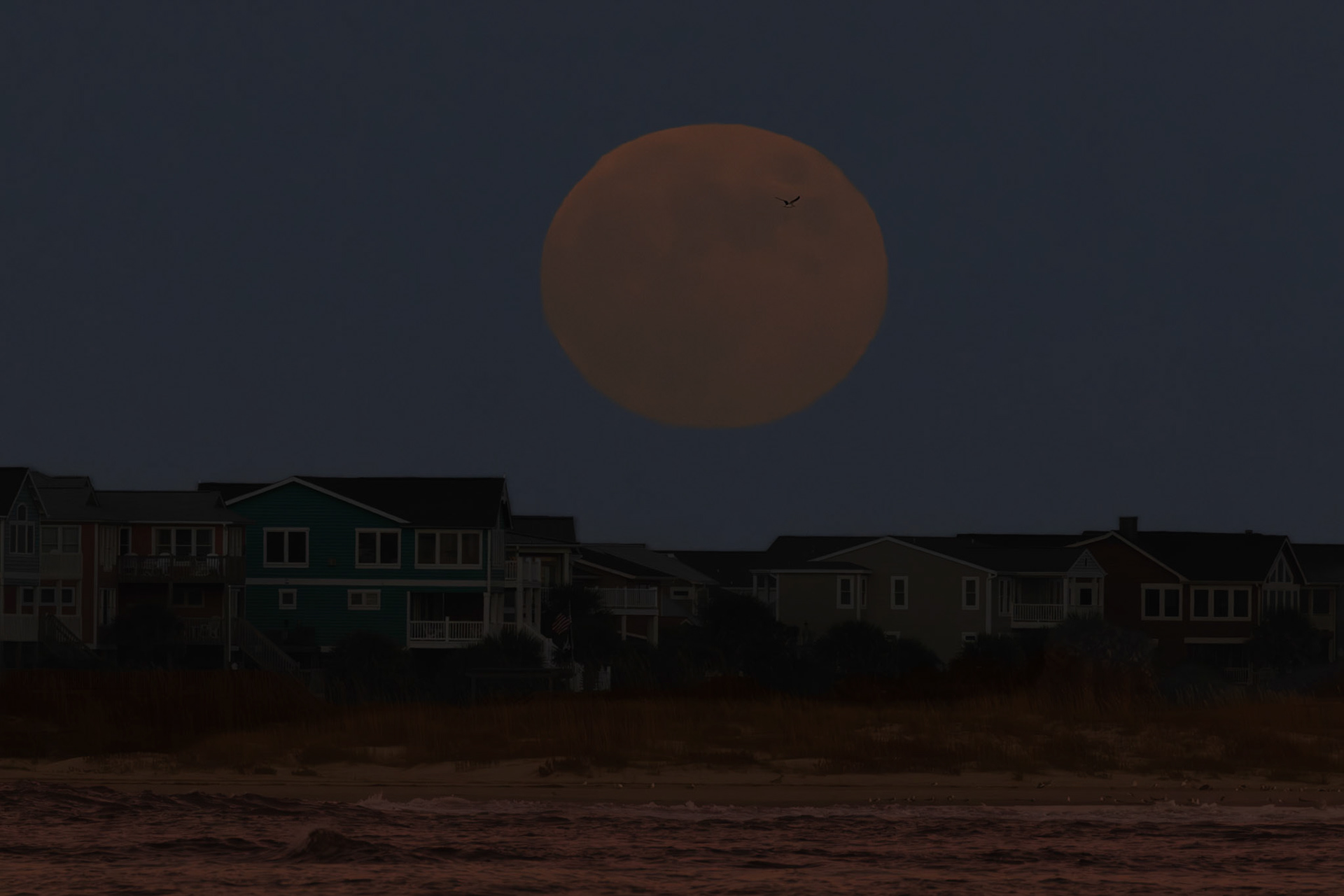 Hunter's moonrise 6, OIB East End