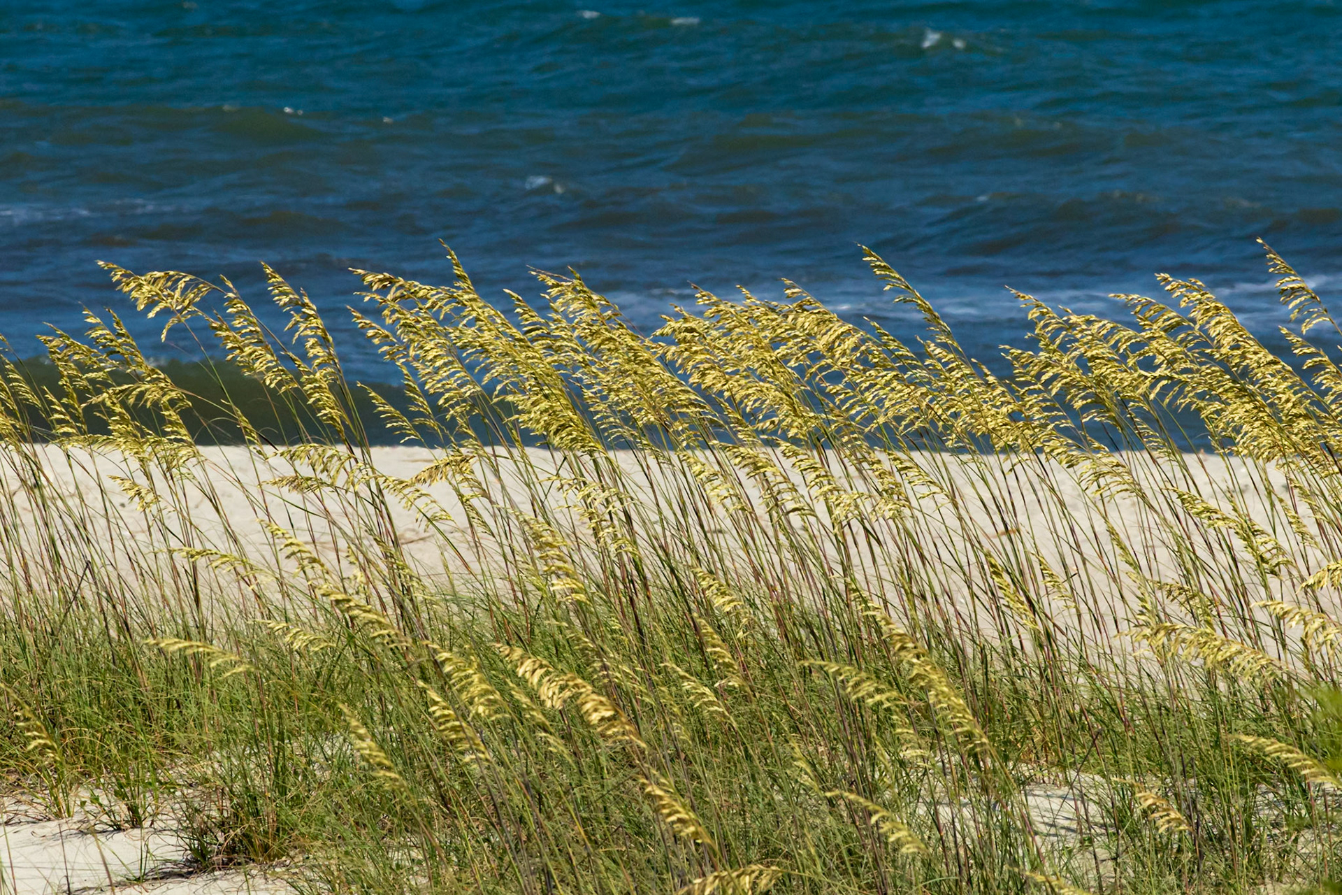 Sea Oats 1, OIB East End