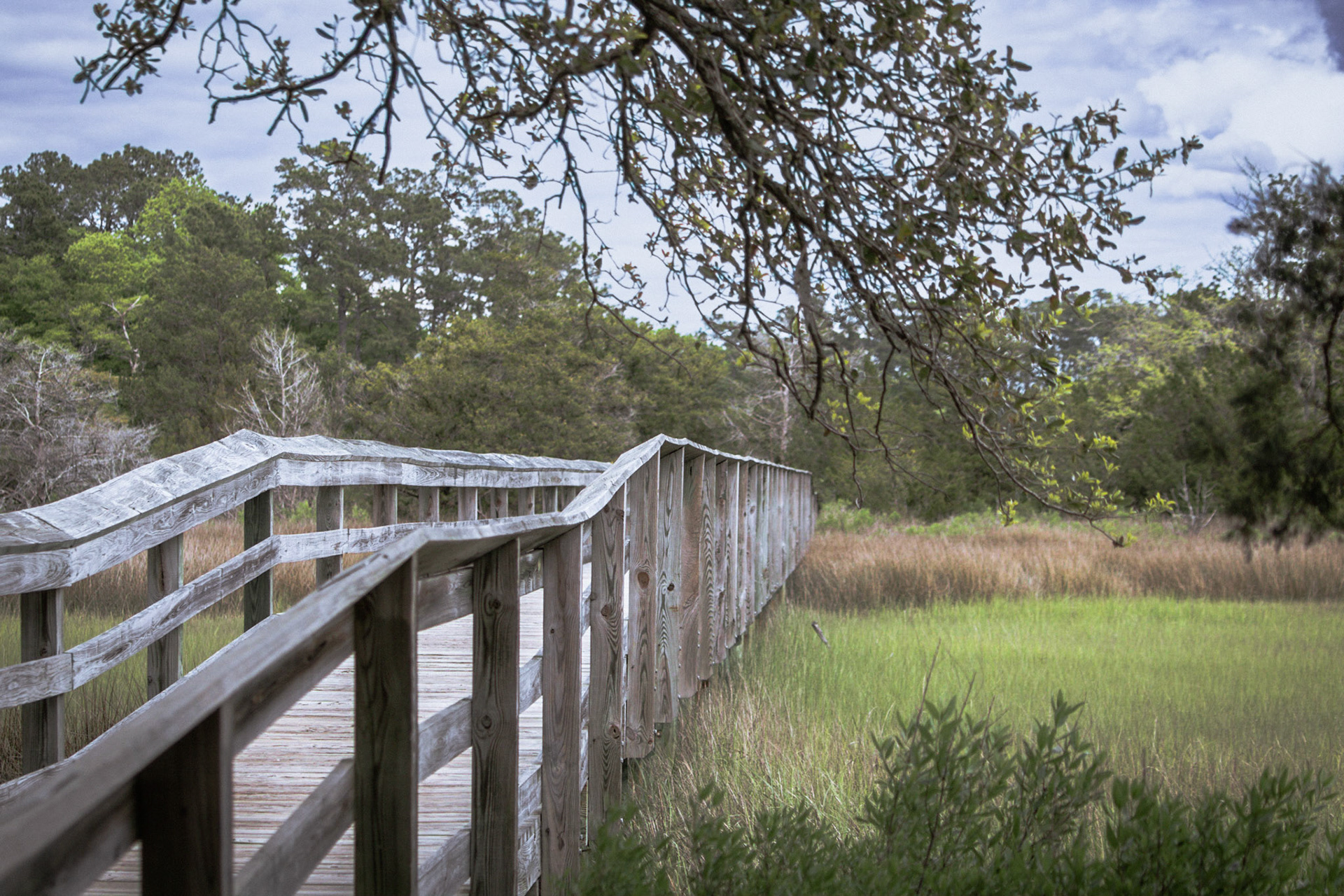 Vereen Gardens 1, Calabash